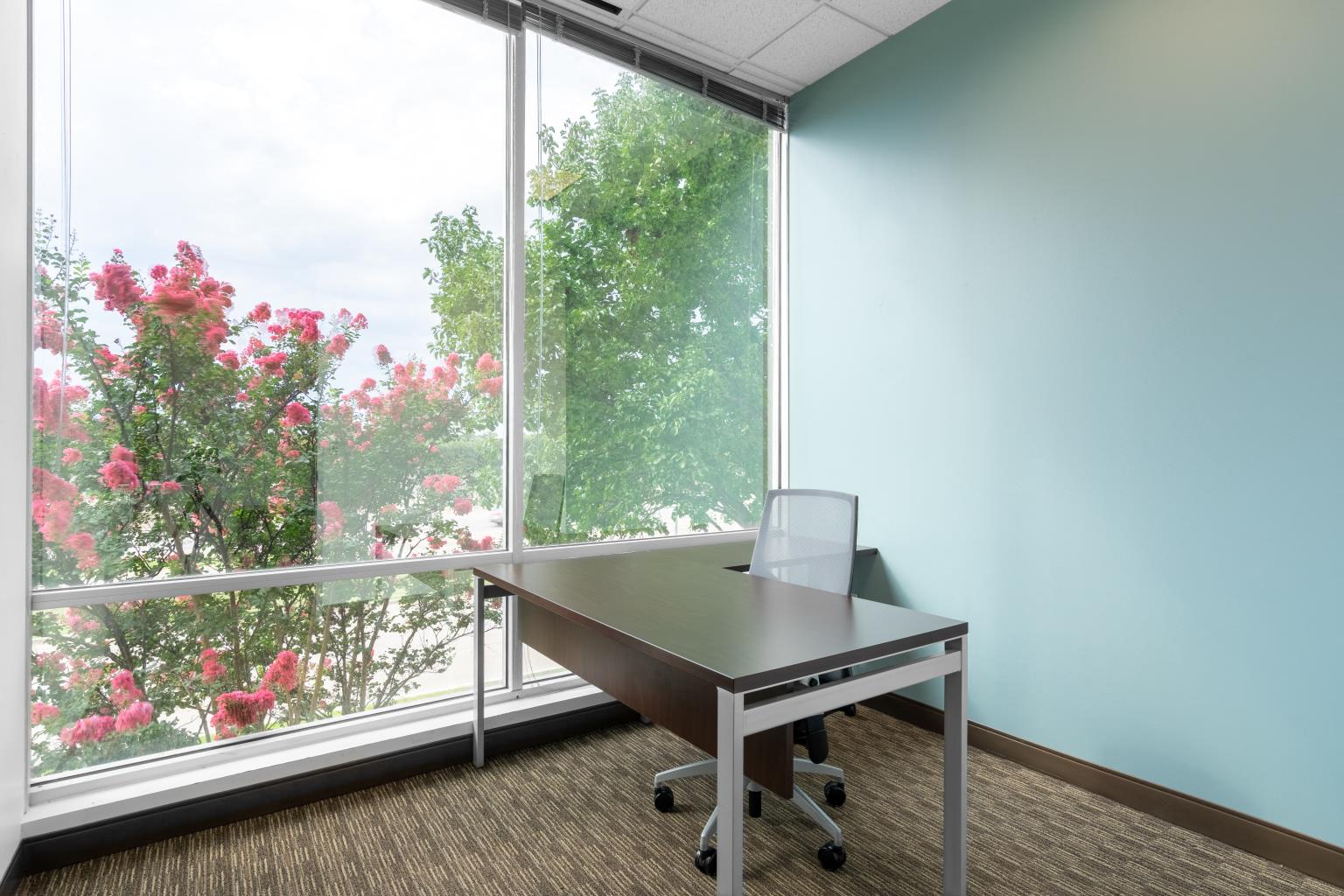 Private Office To Rent, Dallas, 75057 – photo 3