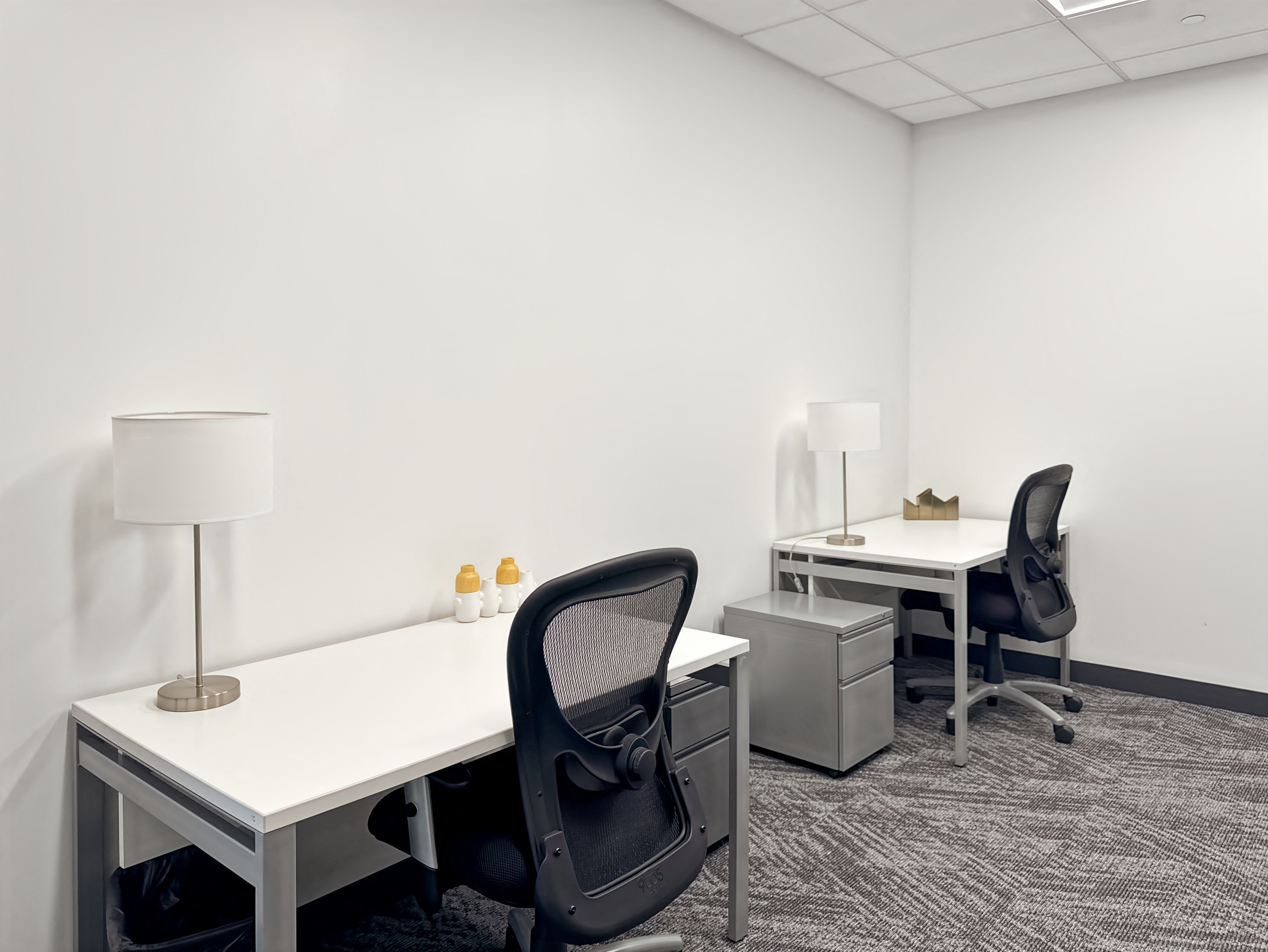 Private Office To Rent, Dallas, 75070 – photo 1