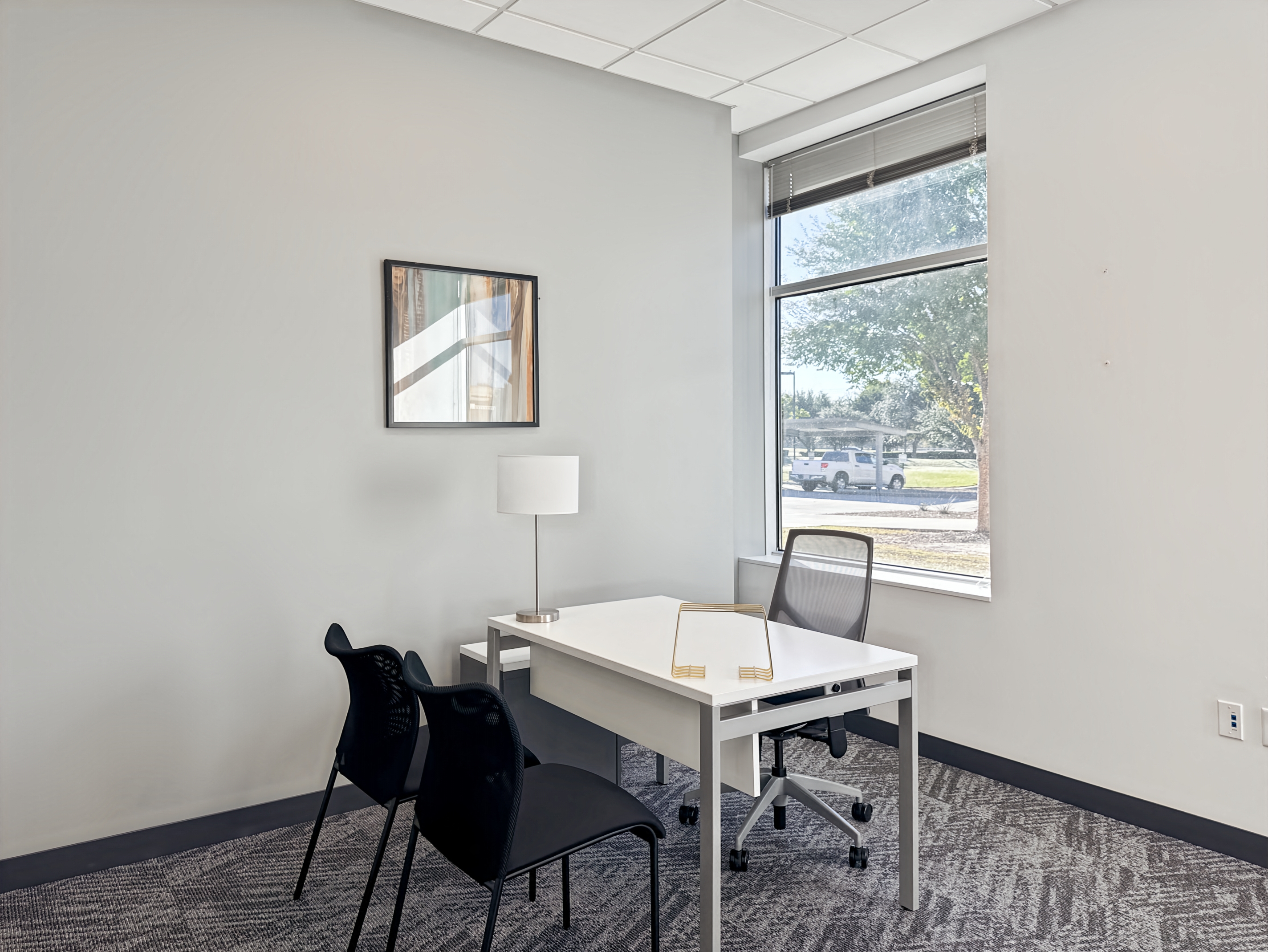 Private Office To Rent, Dallas, 75070 – photo 6