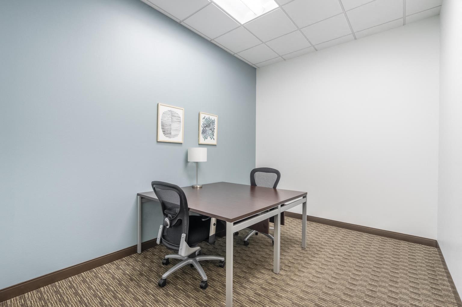 Private Office To Rent, Dallas, 76092 – photo 3