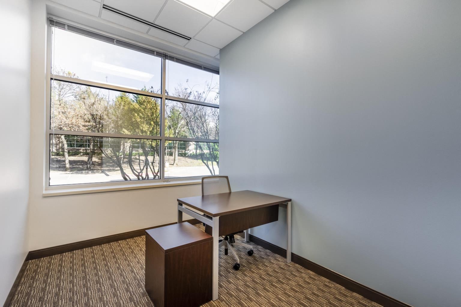 Private Office To Rent, Dallas, 76092 – photo 1