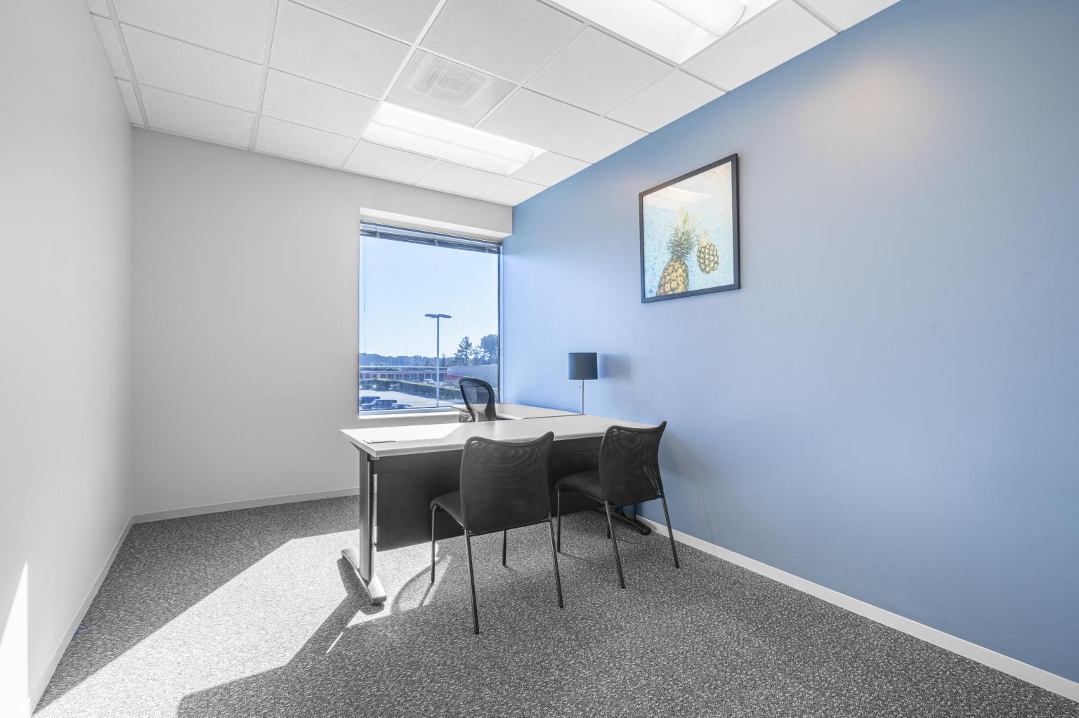 Private Office To Rent, Houston, 77386 – photo 1