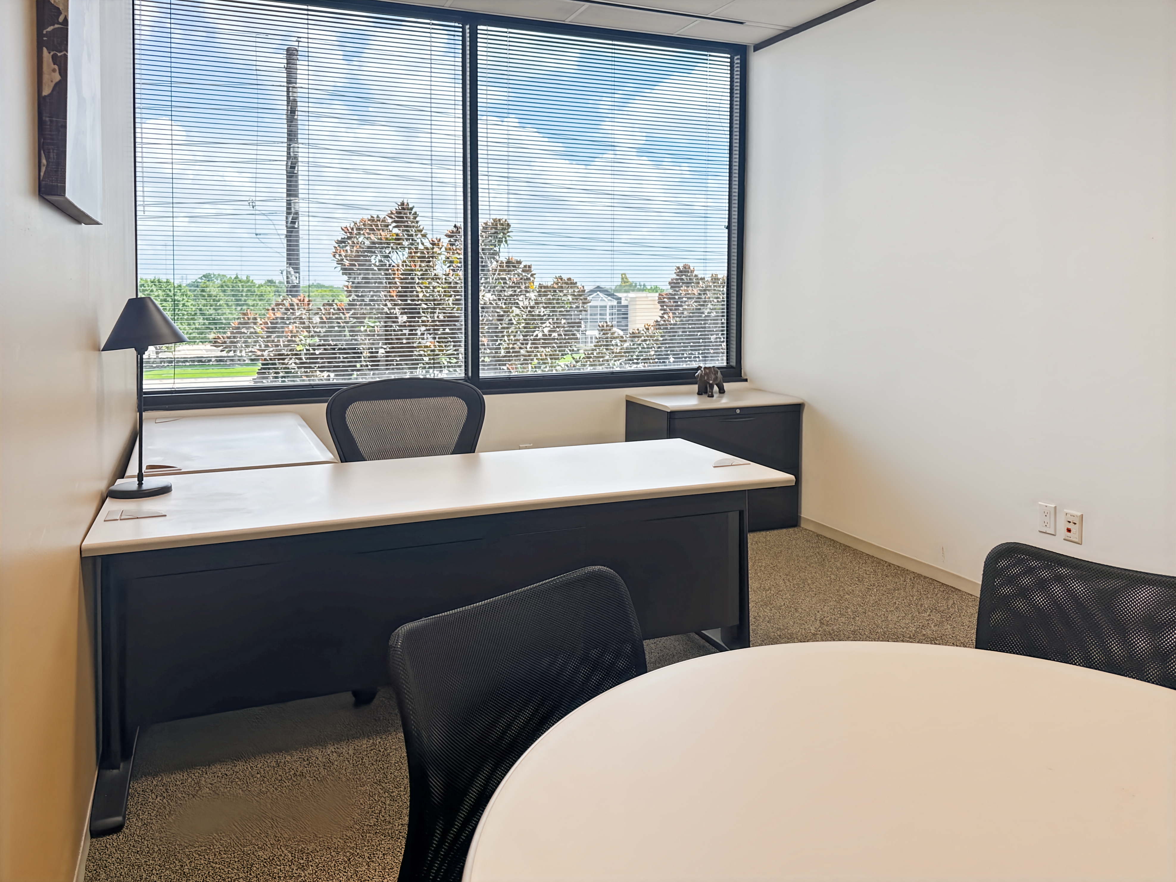 Private Office To Rent, Dallas, 77478 – photo 6