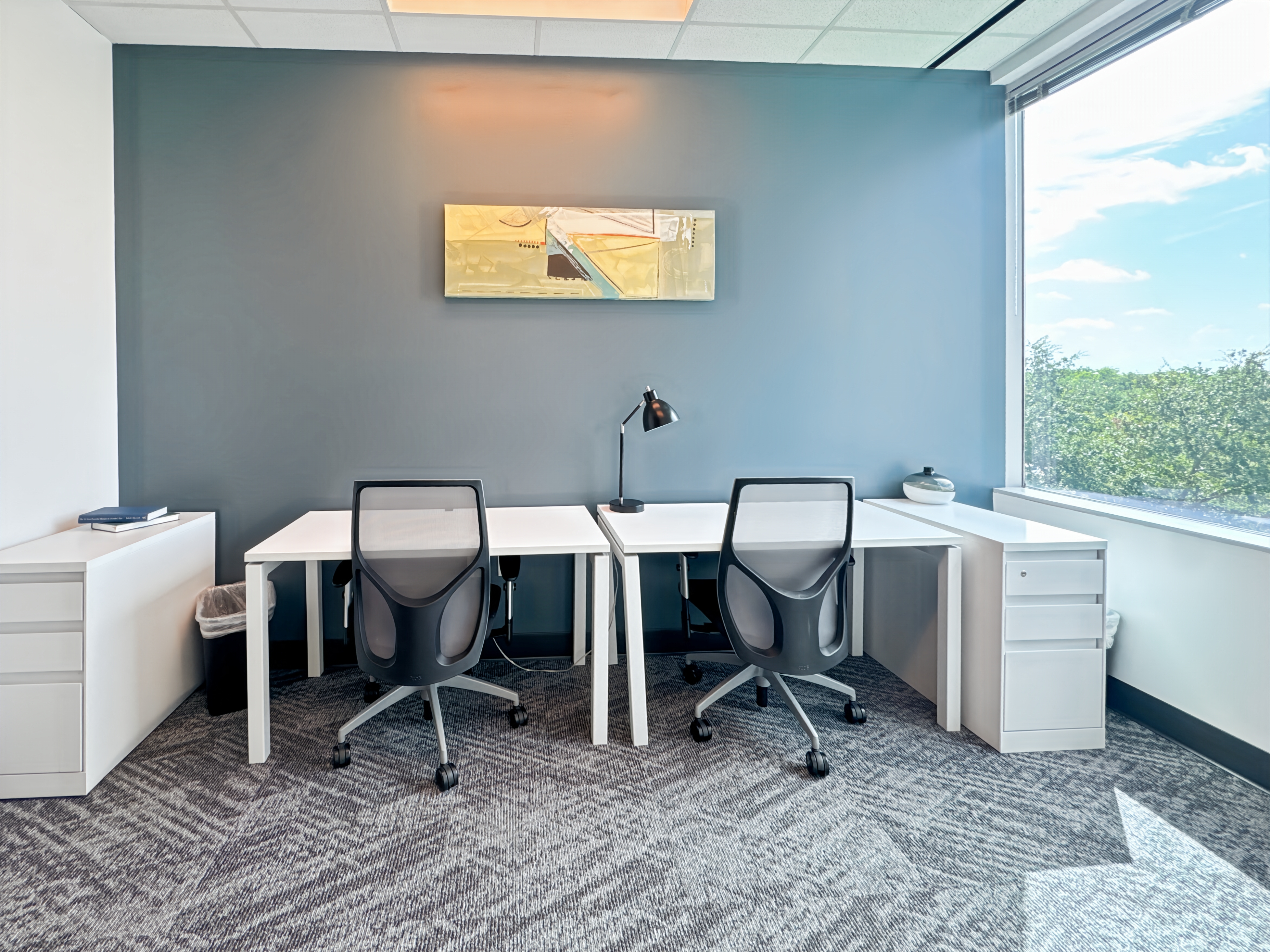 Private Office To Rent, Dallas, 77479 – photo 1
