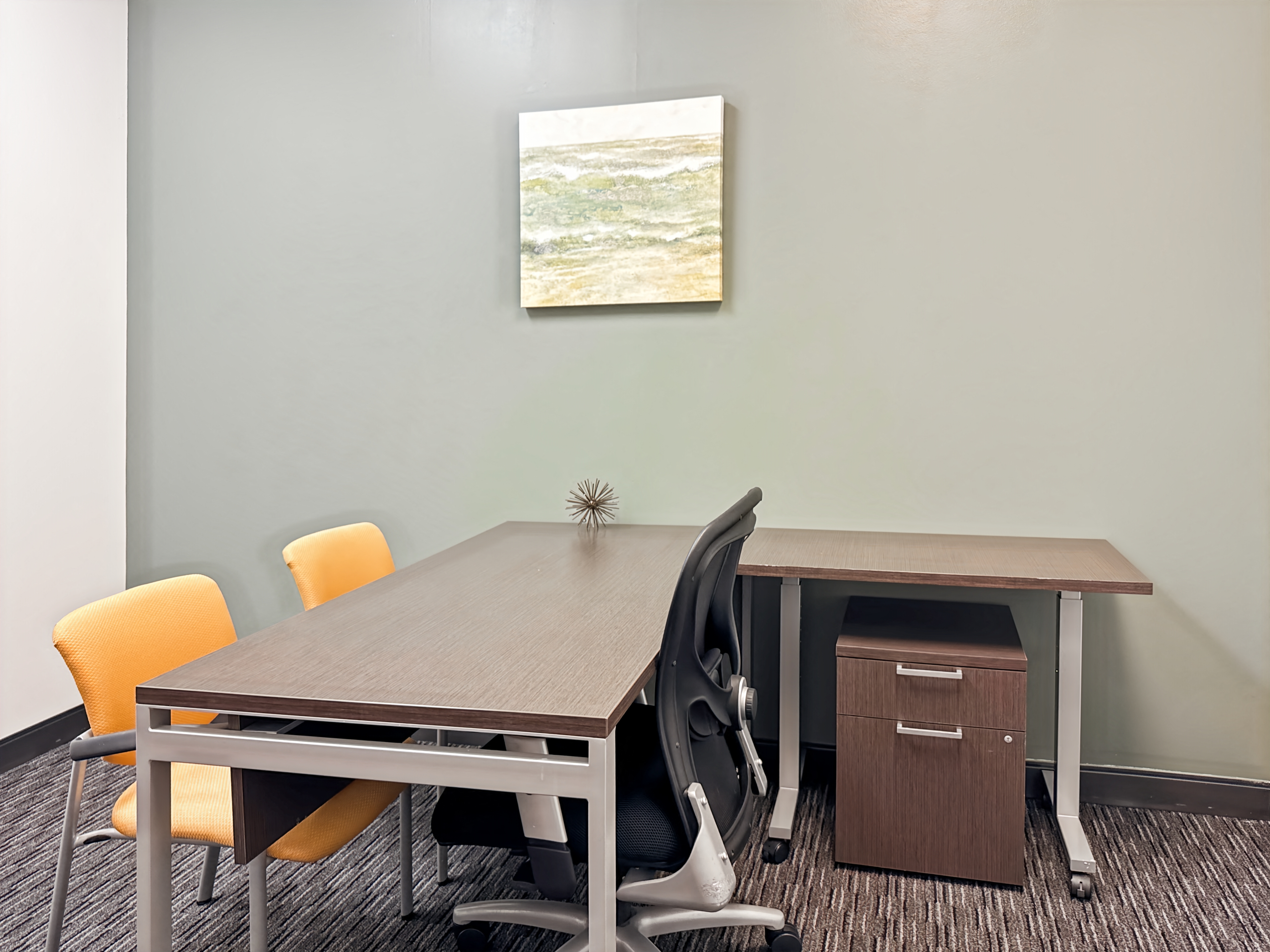 Private Office To Rent, Dallas, 77478 – photo 4