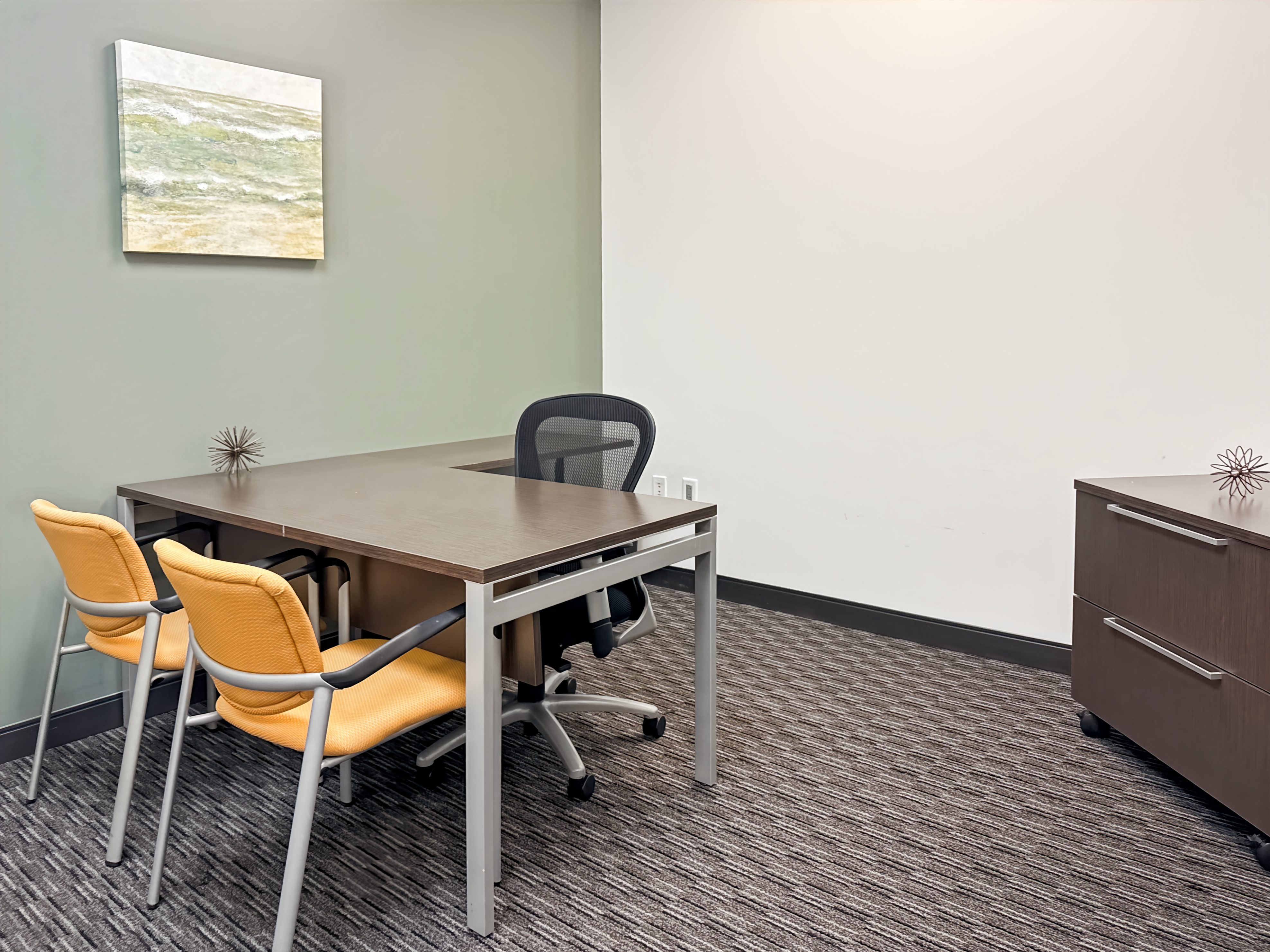 Private Office To Rent, Dallas, 77478 – photo 2