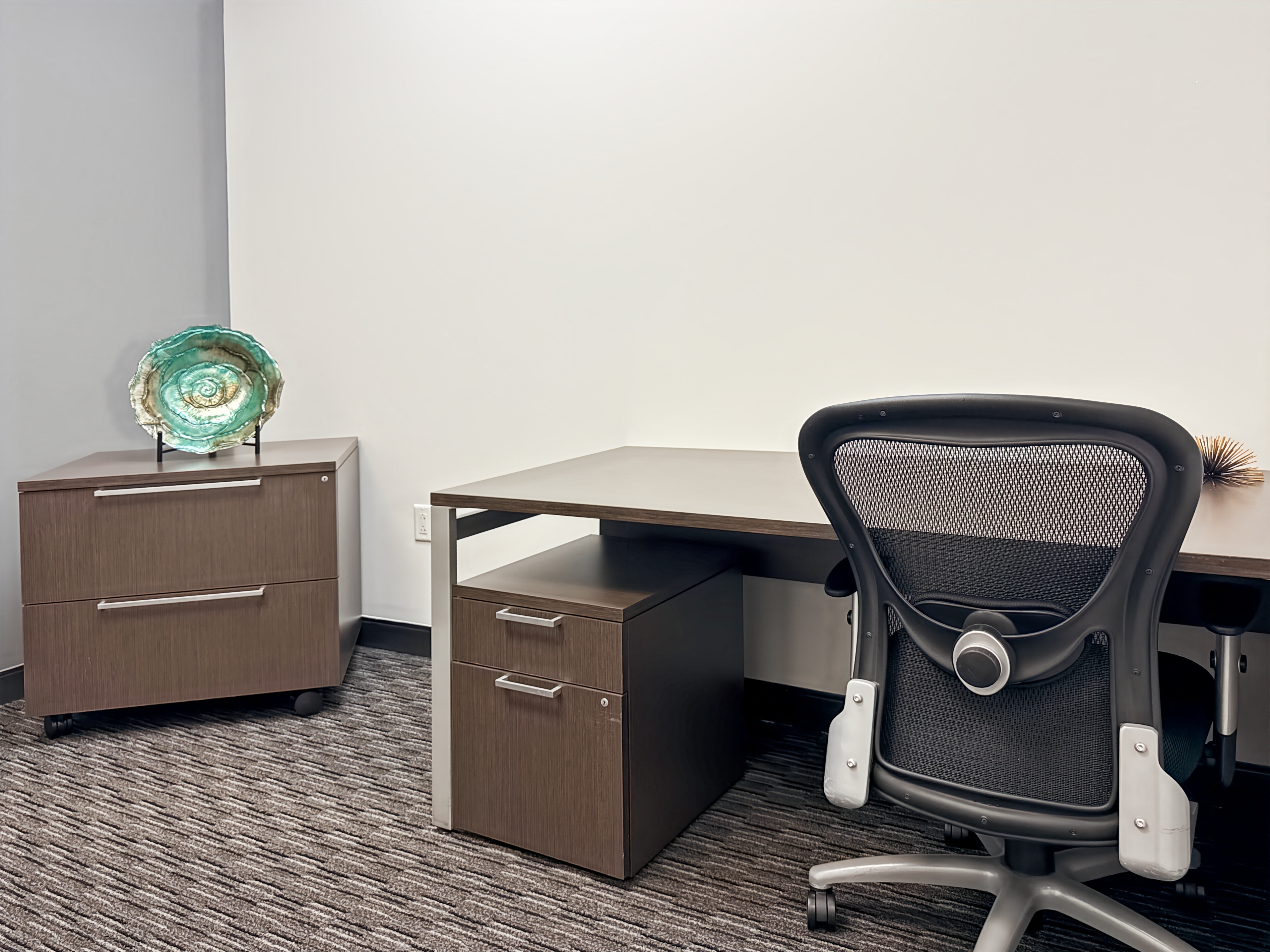 Private Office To Rent, Dallas, 77478 – photo 5