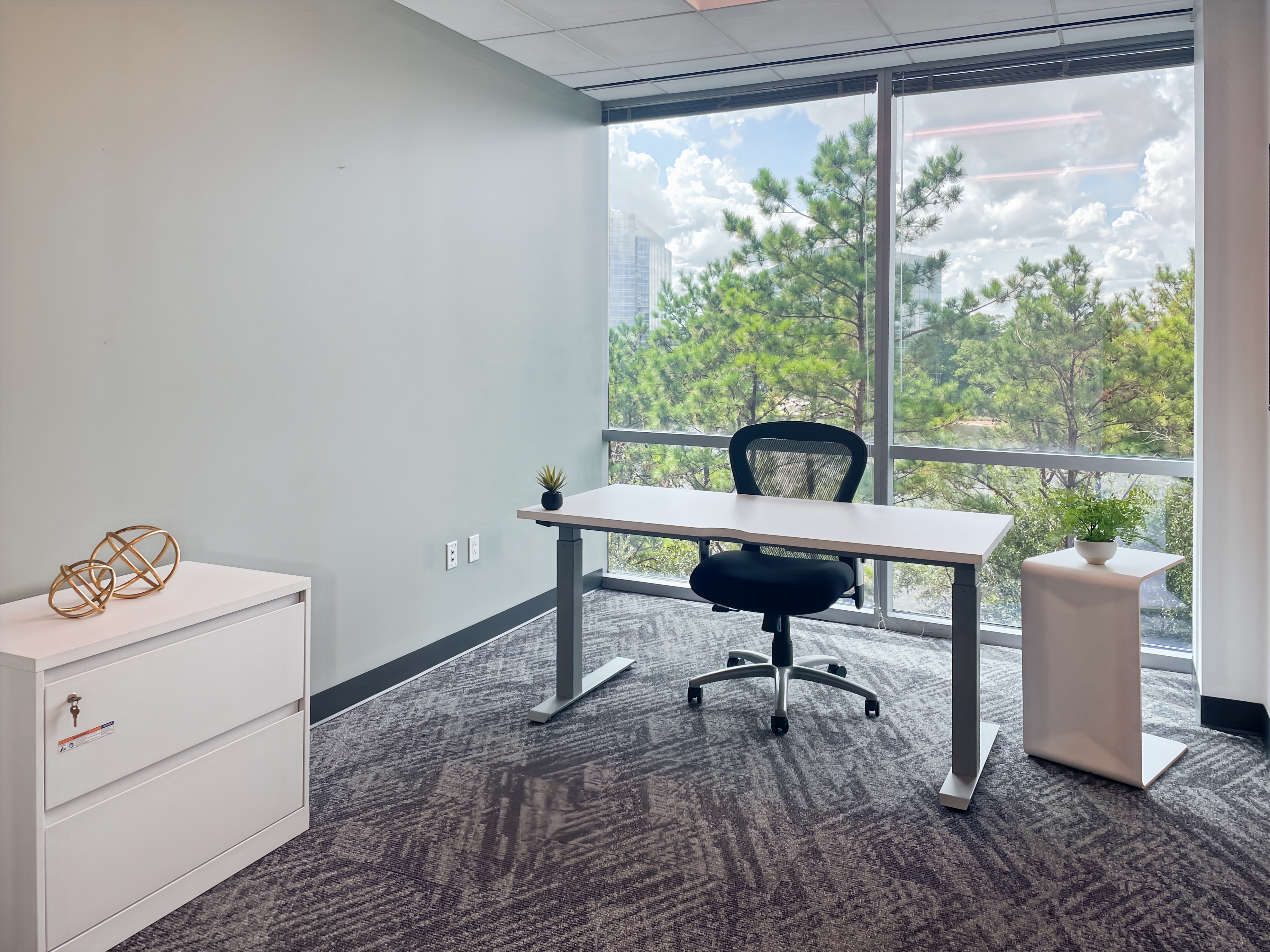 Private Office To Rent, Houston, 77380 – photo 3