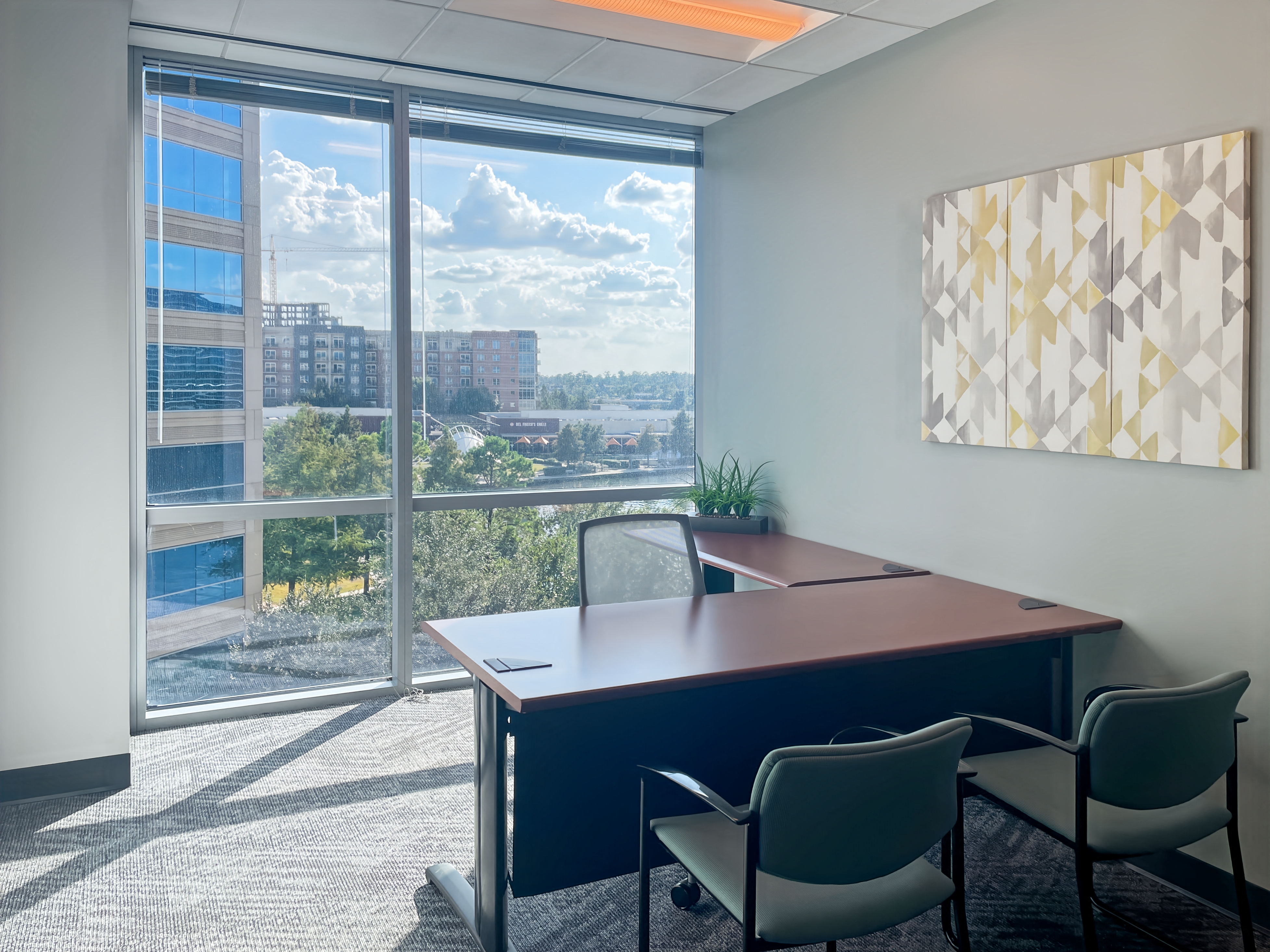 Private Office To Rent, Houston, 77380 – photo 2