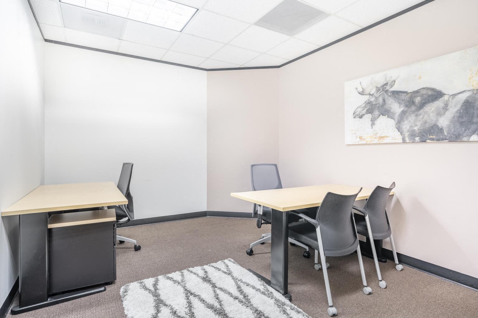 Private Office To Rent, Houston, 77380 – photo 3