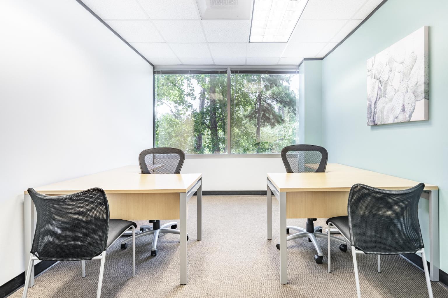 Private Office To Rent, Houston, 77380 – photo 1