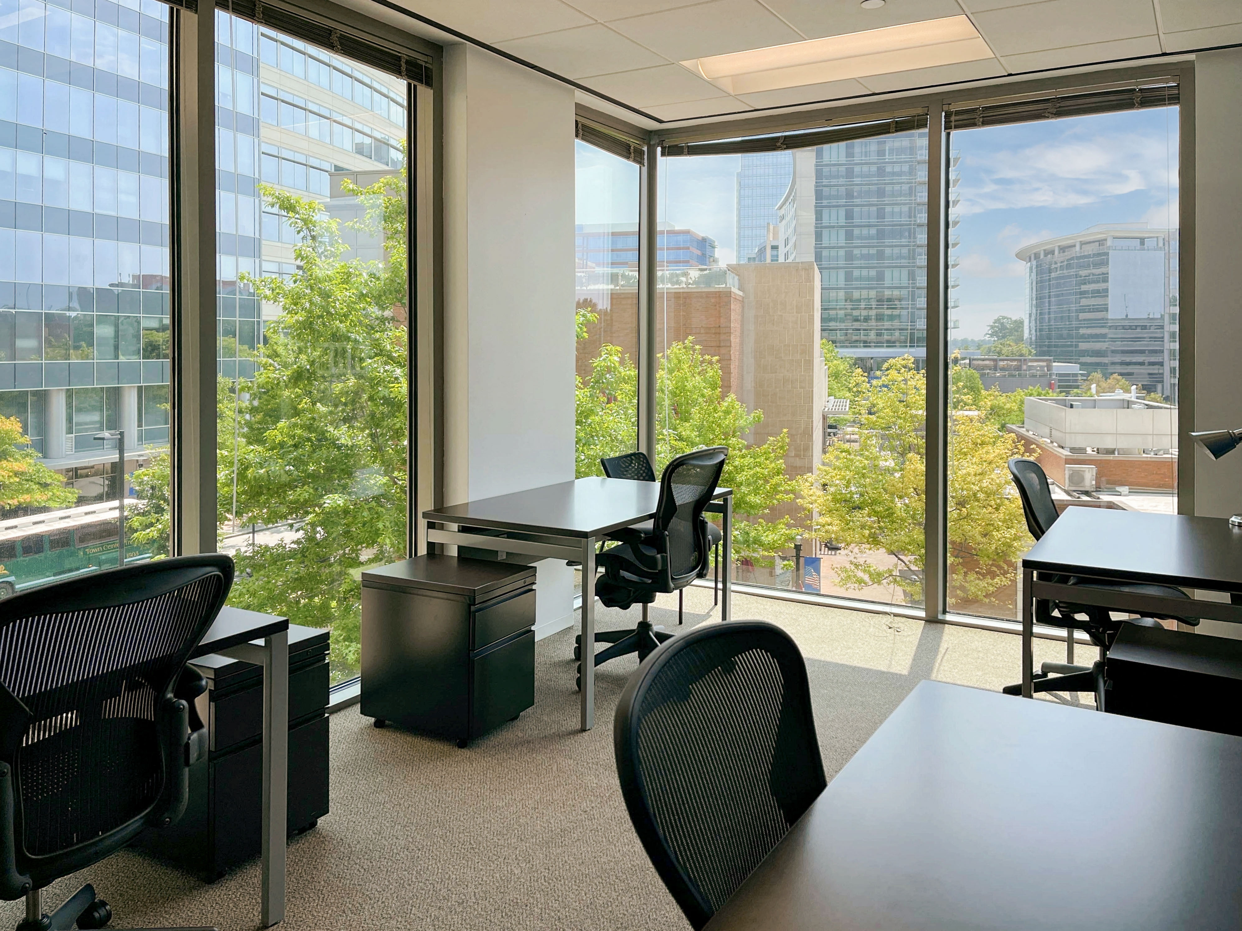 Private Office To Rent, Houston, 77380 – photo 1