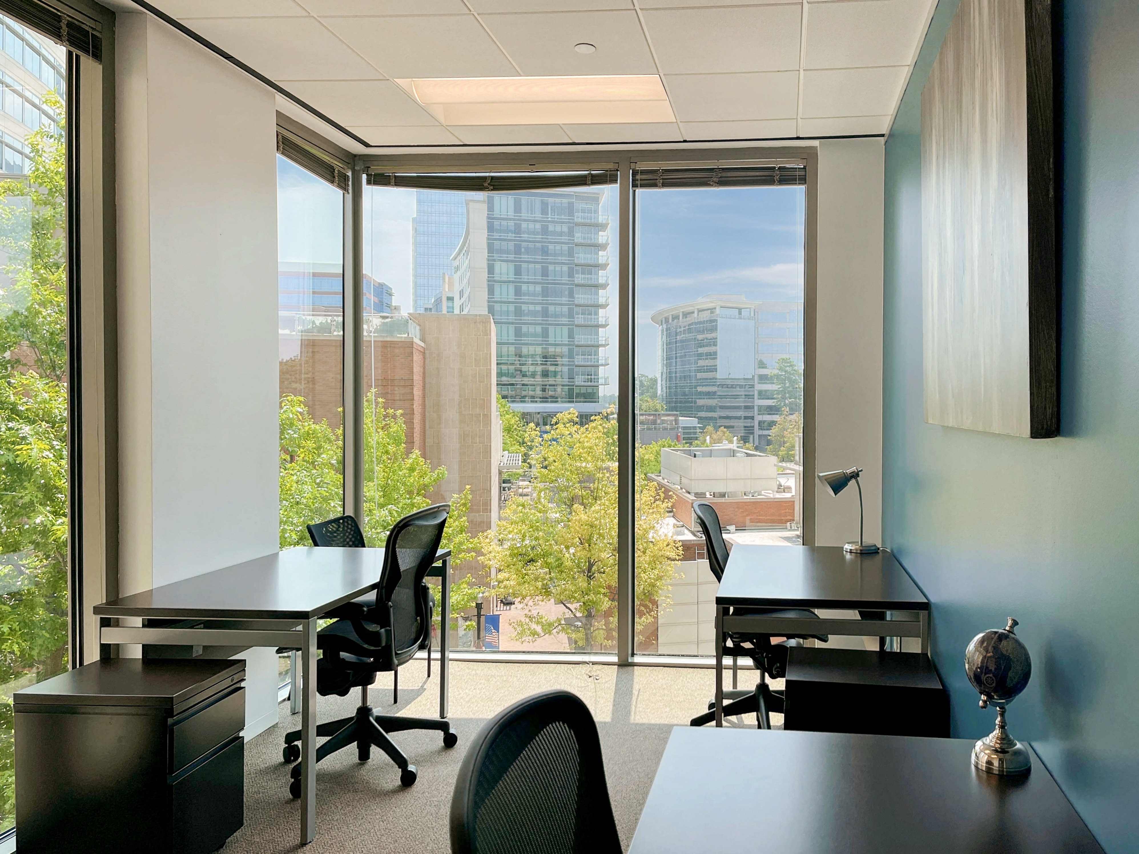 Private Office To Rent, Houston, 77380 – photo 2