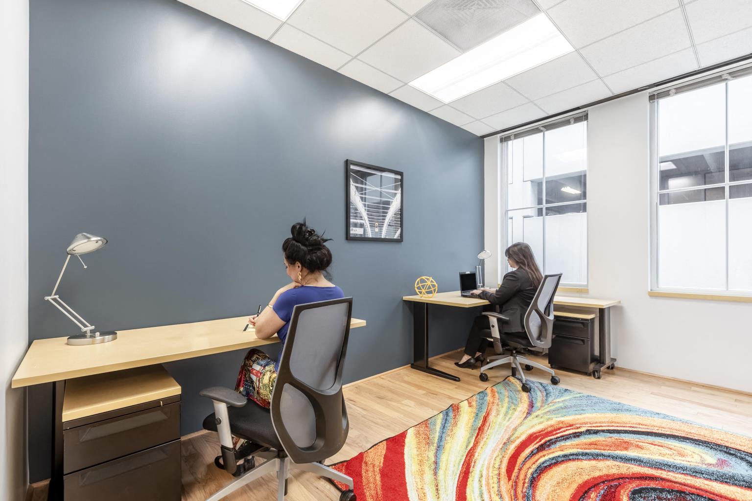 Private Office To Rent, Houston, 77380 – photo 2