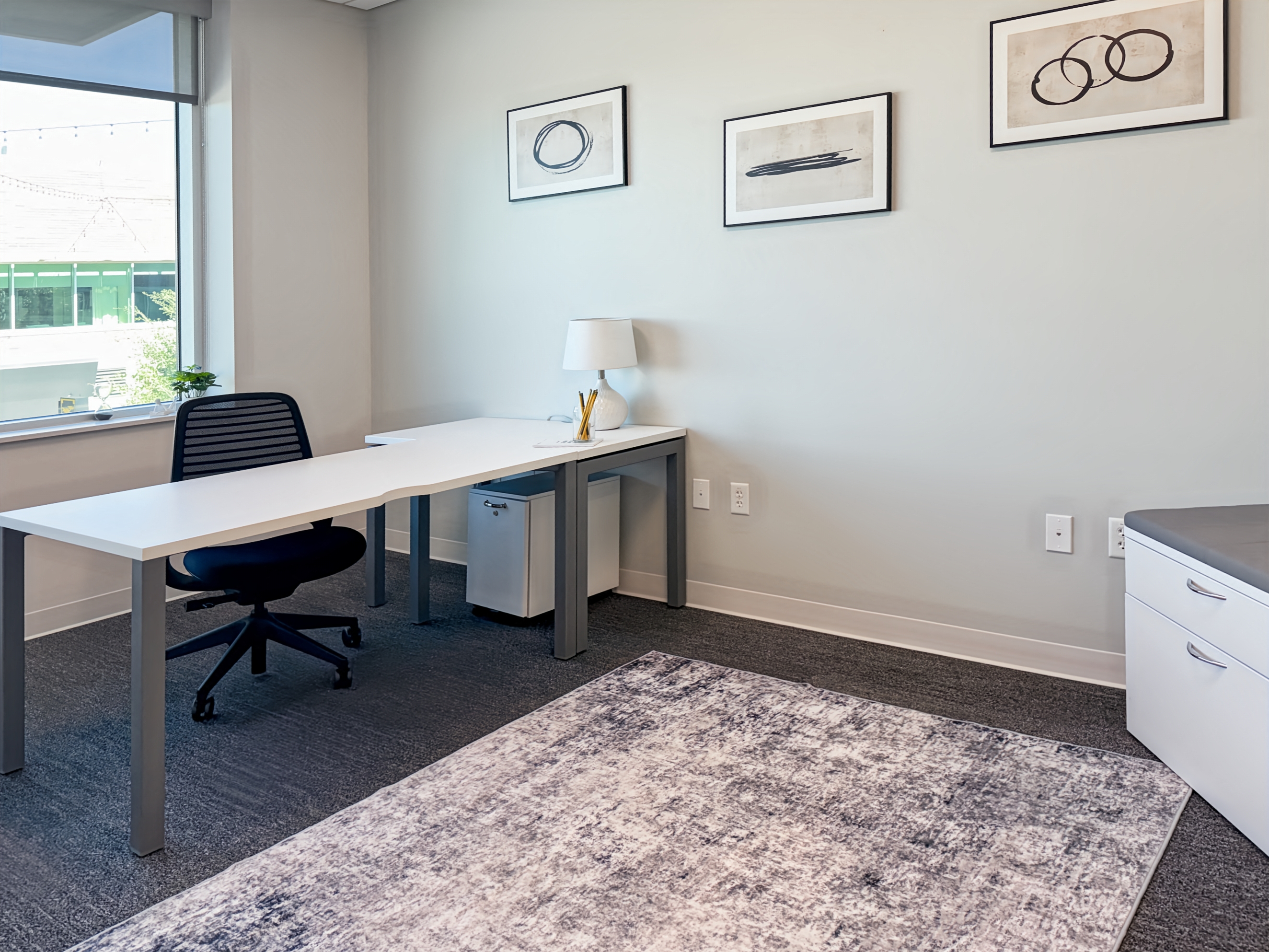 Private Office To Rent, Dallas, 75093 – photo 6