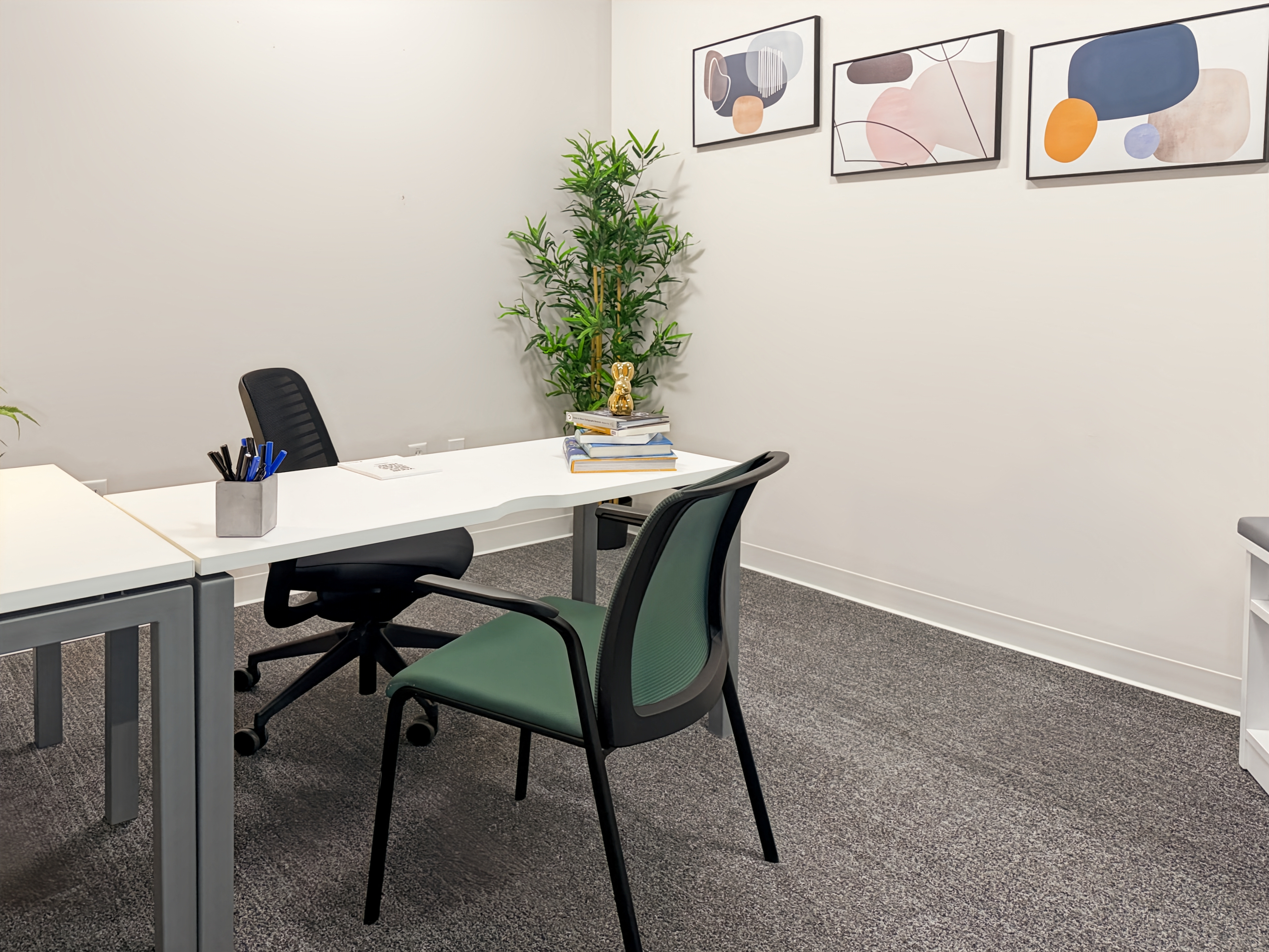 Private Office To Rent, Dallas, 75093 – photo 4