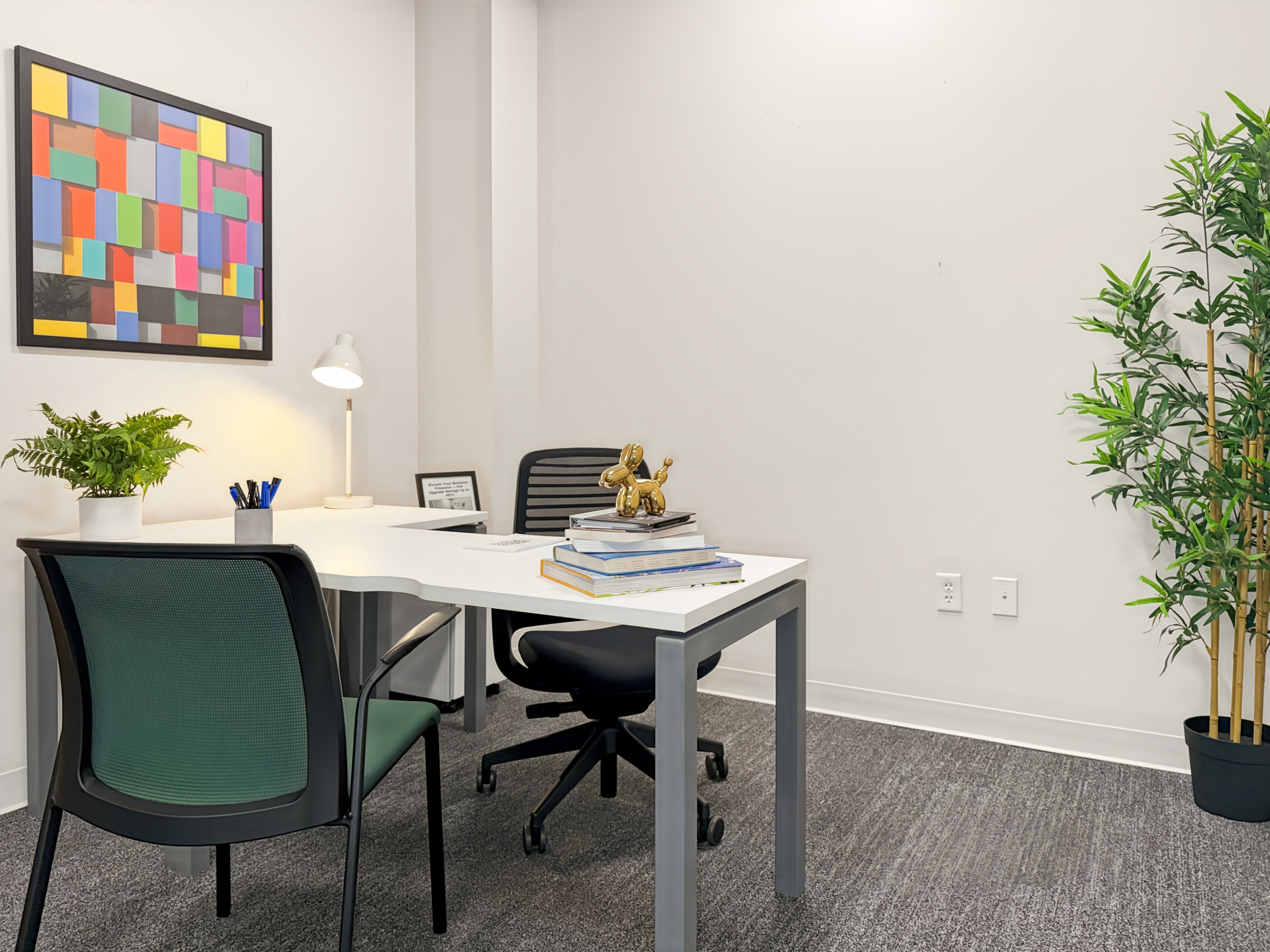 Private Office To Rent, Dallas, 75093 – photo 3