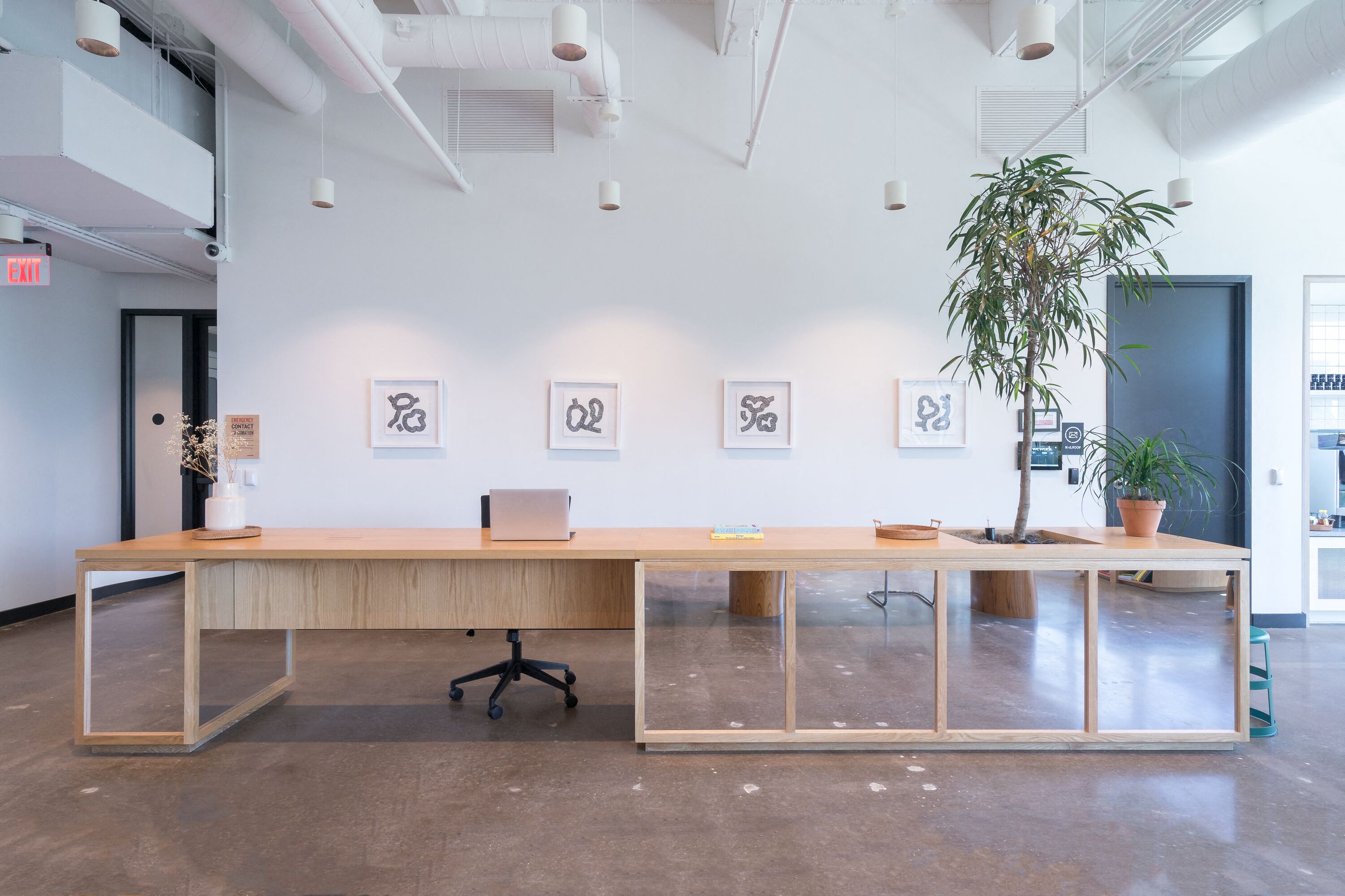 Private Office To Rent, Dallas, 75024 – photo 4