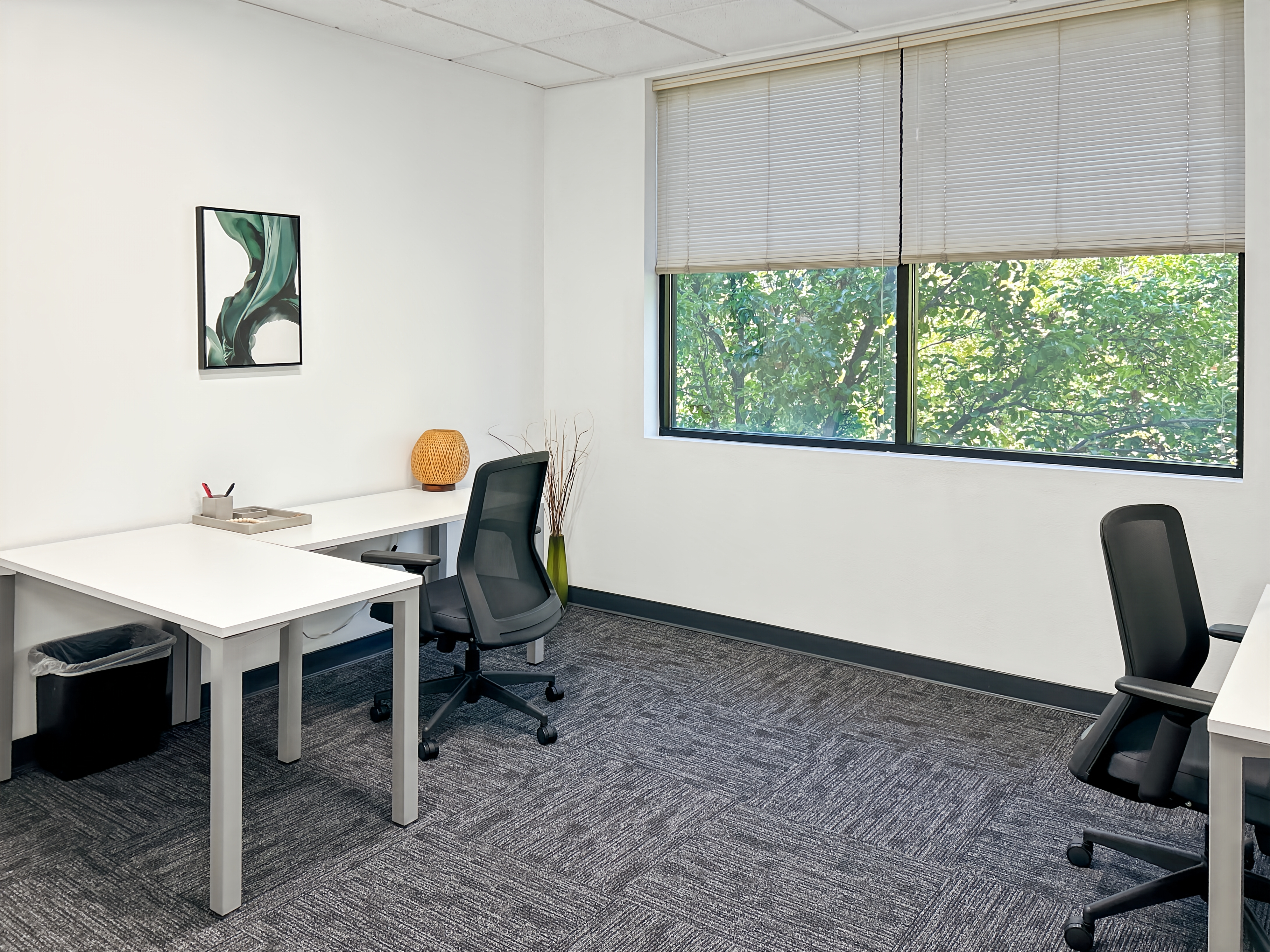 Private Office To Rent, Sacramento, 95630 – photo 4