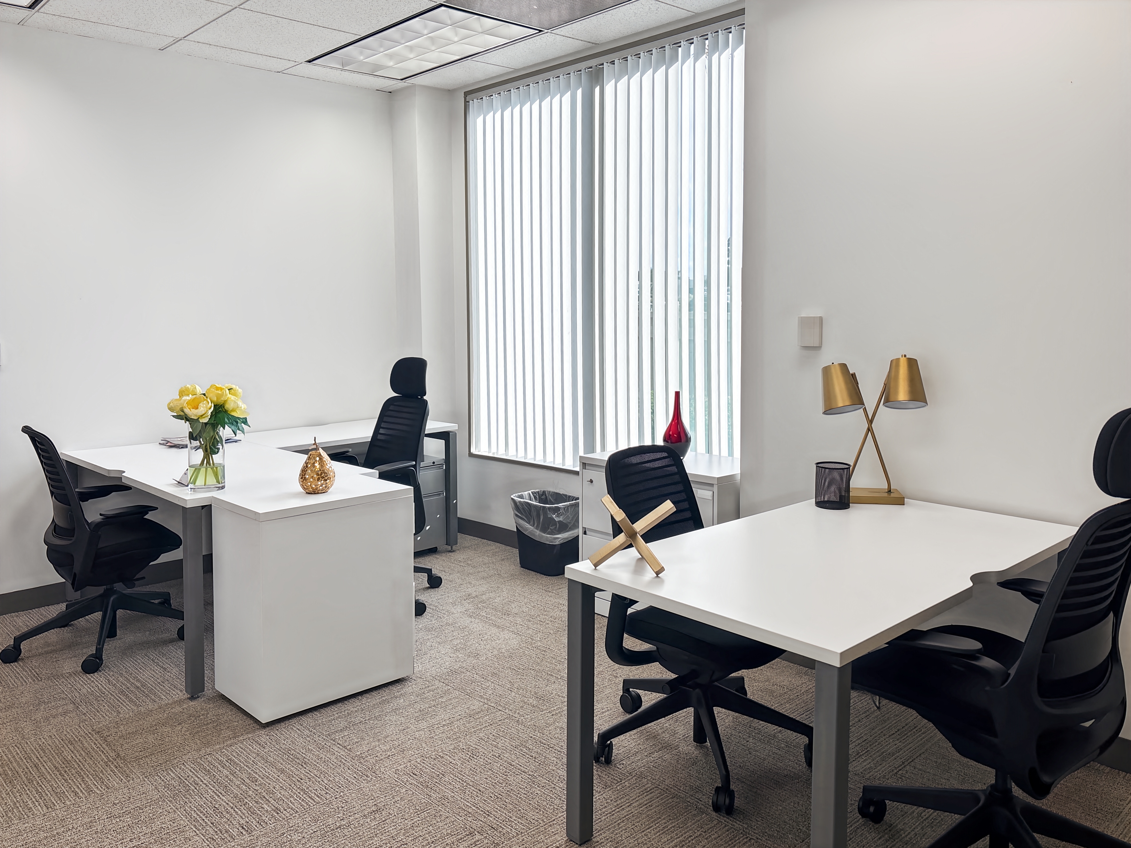 Private Office To Rent, Orange County, 92618 – photo 5