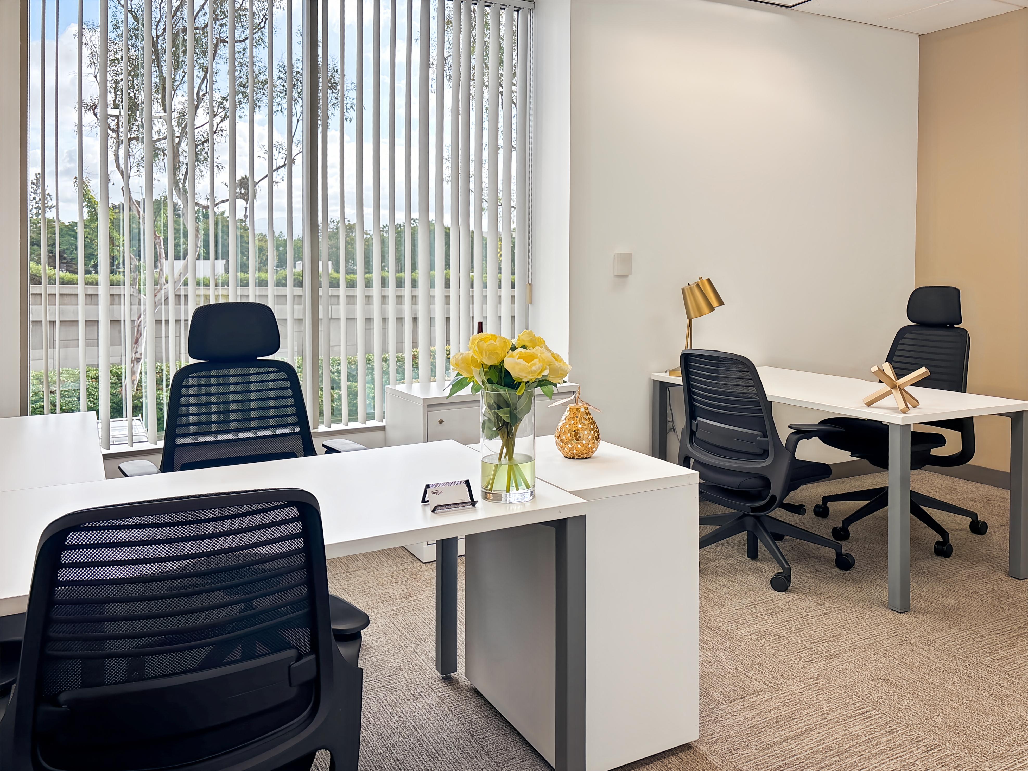 Private Office To Rent, Orange County, 92618 – photo 4