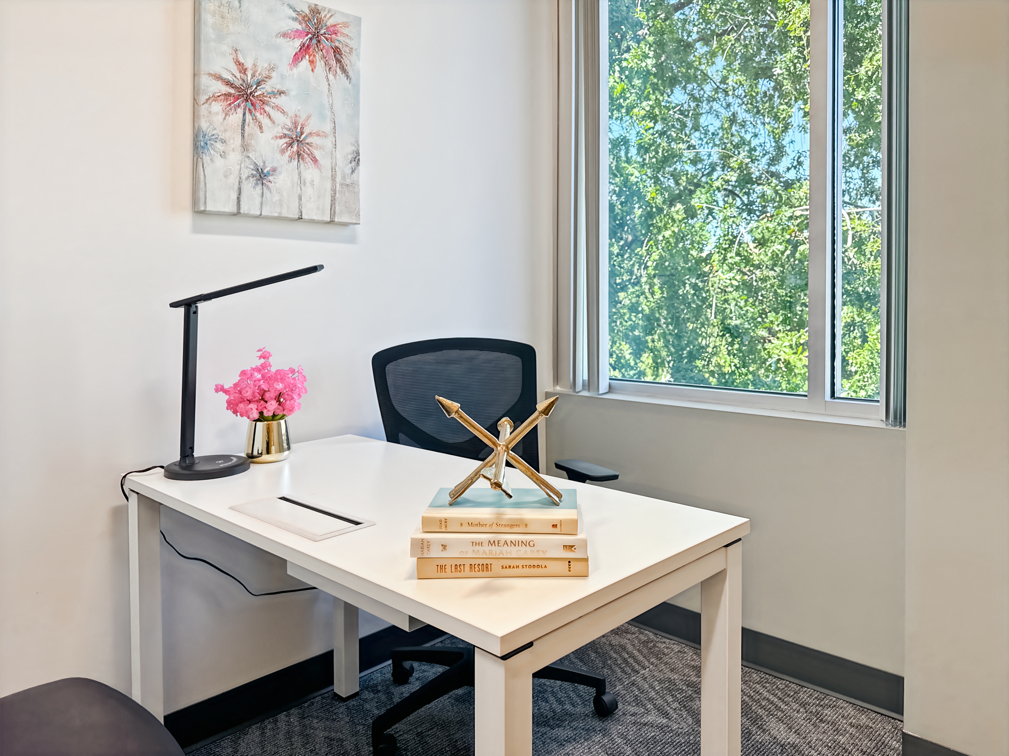 Private Office To Rent, El Dorado Hills, 95762 – photo 4