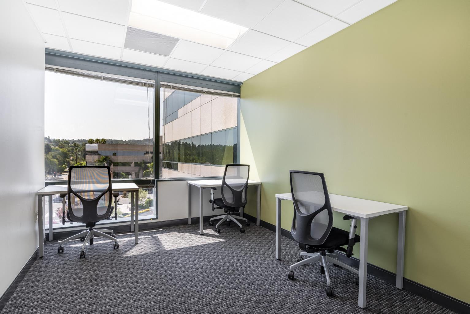 Private Office To Rent, Los Angeles, 91436 – photo 1