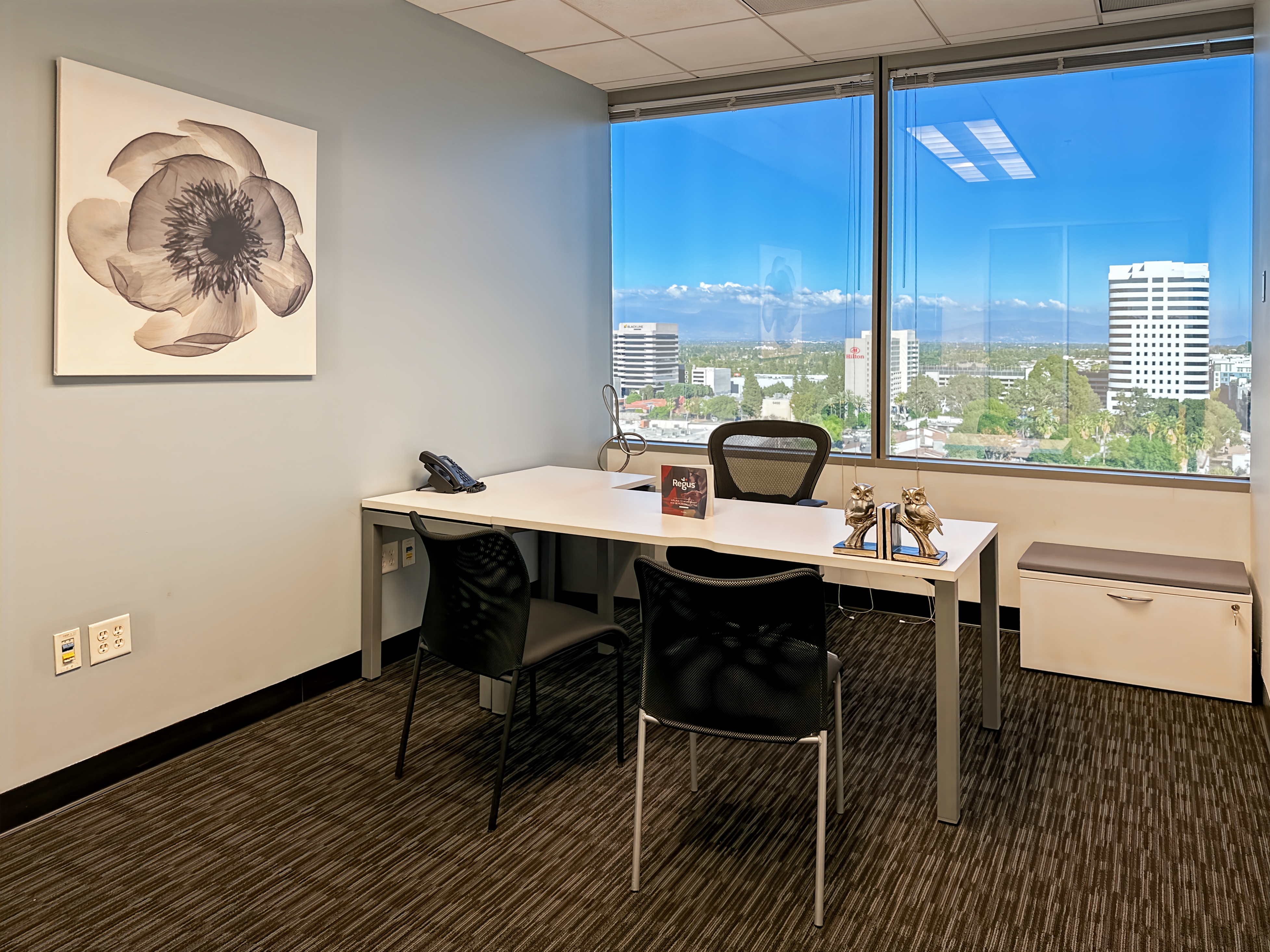 Private Office To Rent, Los Angeles, 91367 – photo 1