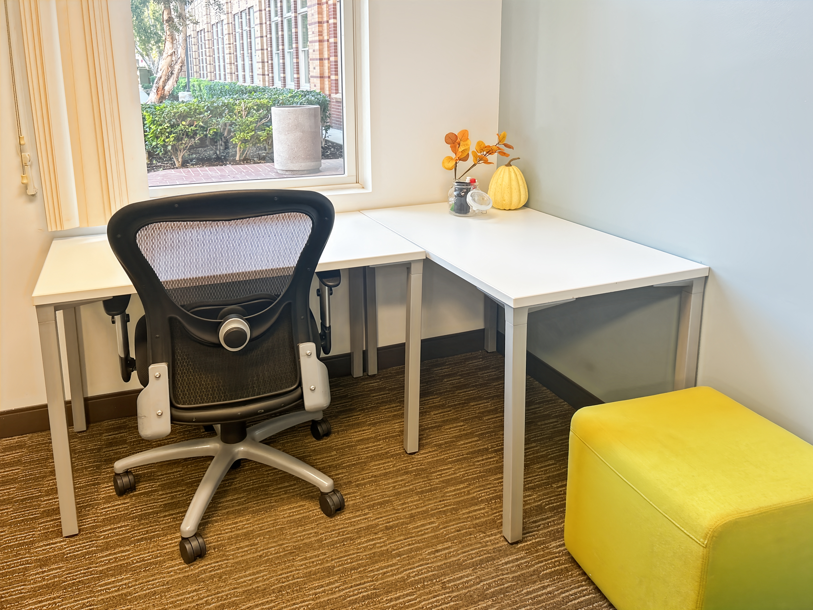 Private Office To Rent, Orange County, 92694 – photo 6