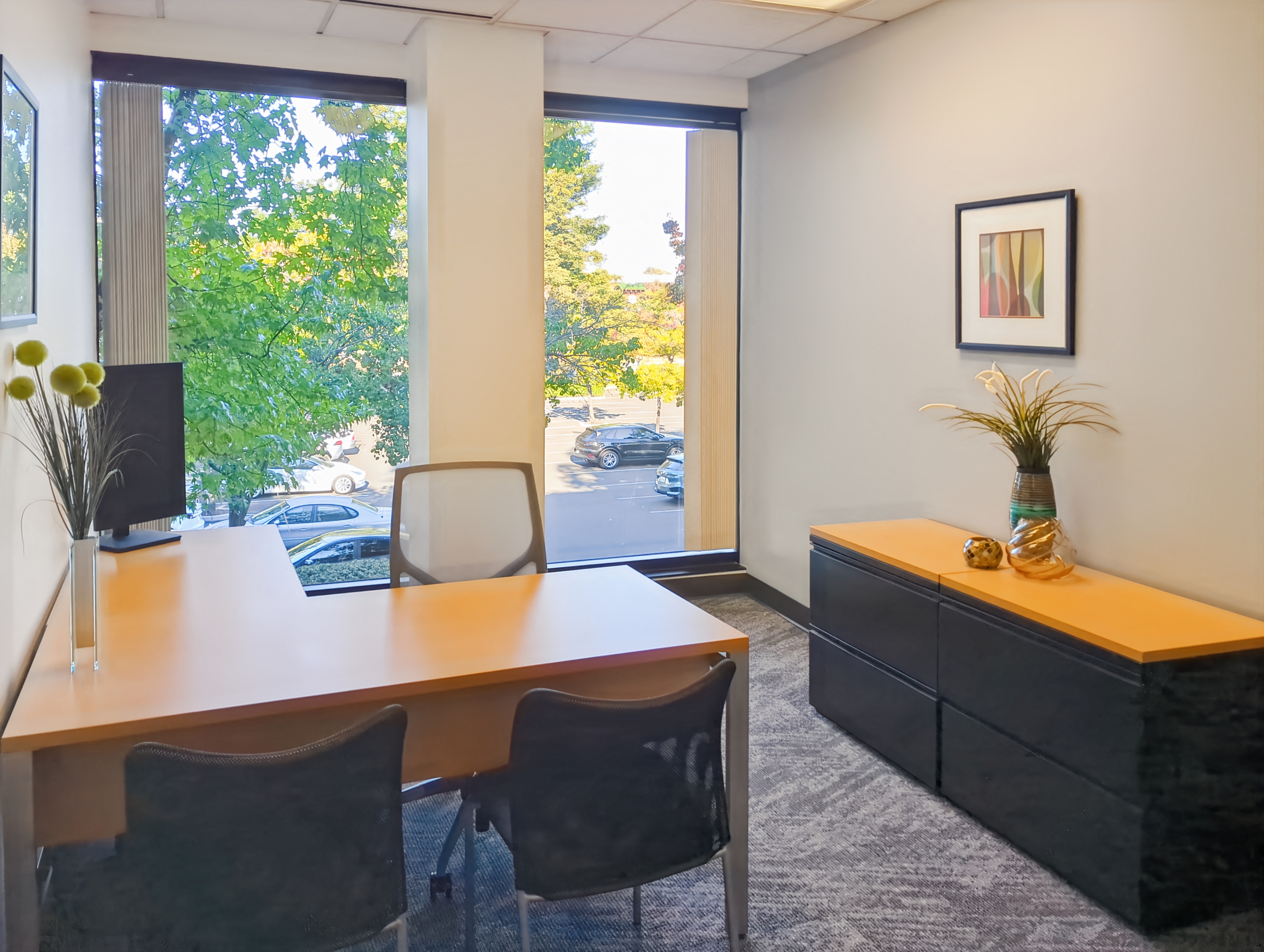 Private Office To Rent, Alameda County, 94560 – photo 3