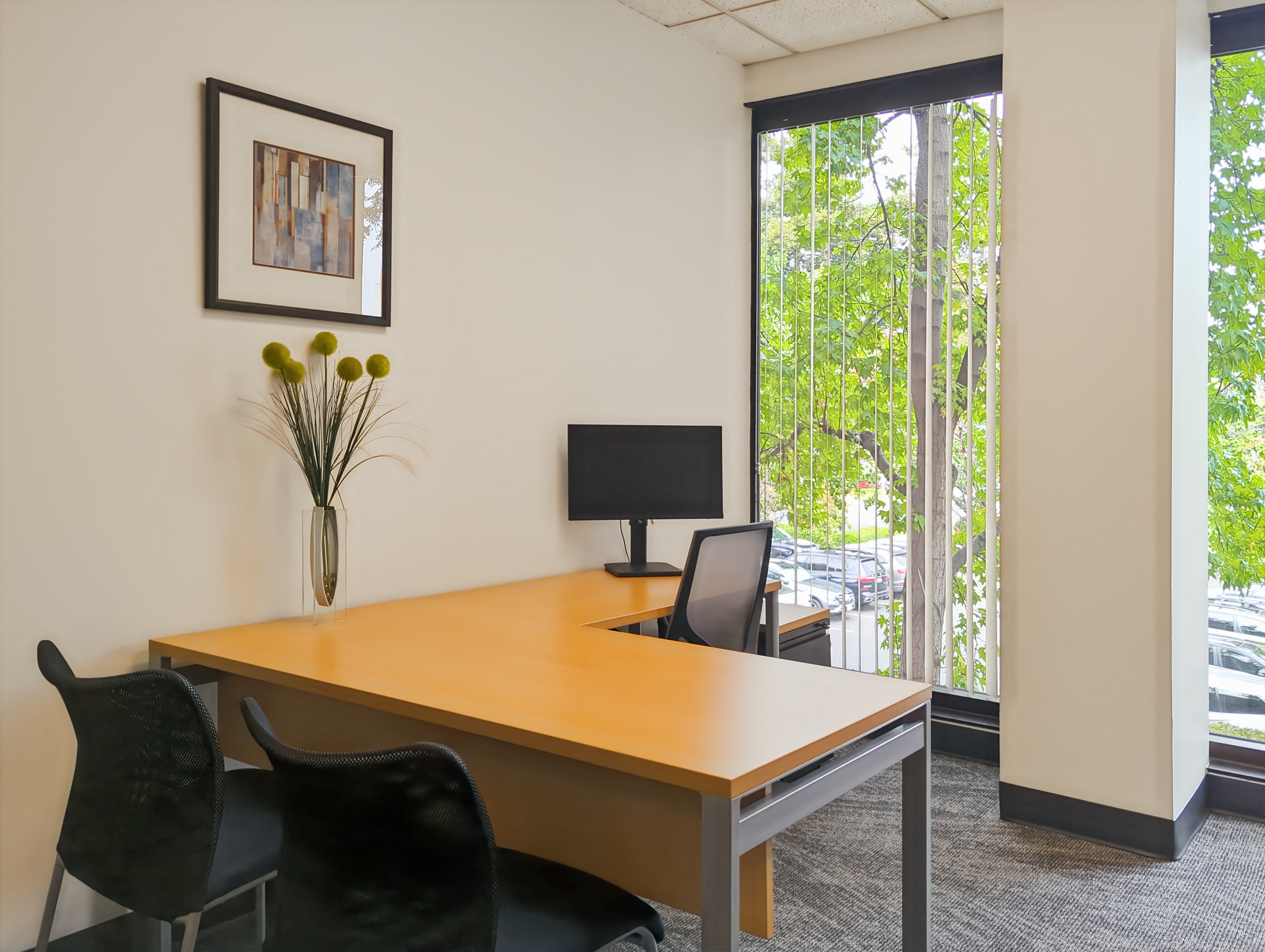 Private Office To Rent, Alameda County, 94560 – photo 4