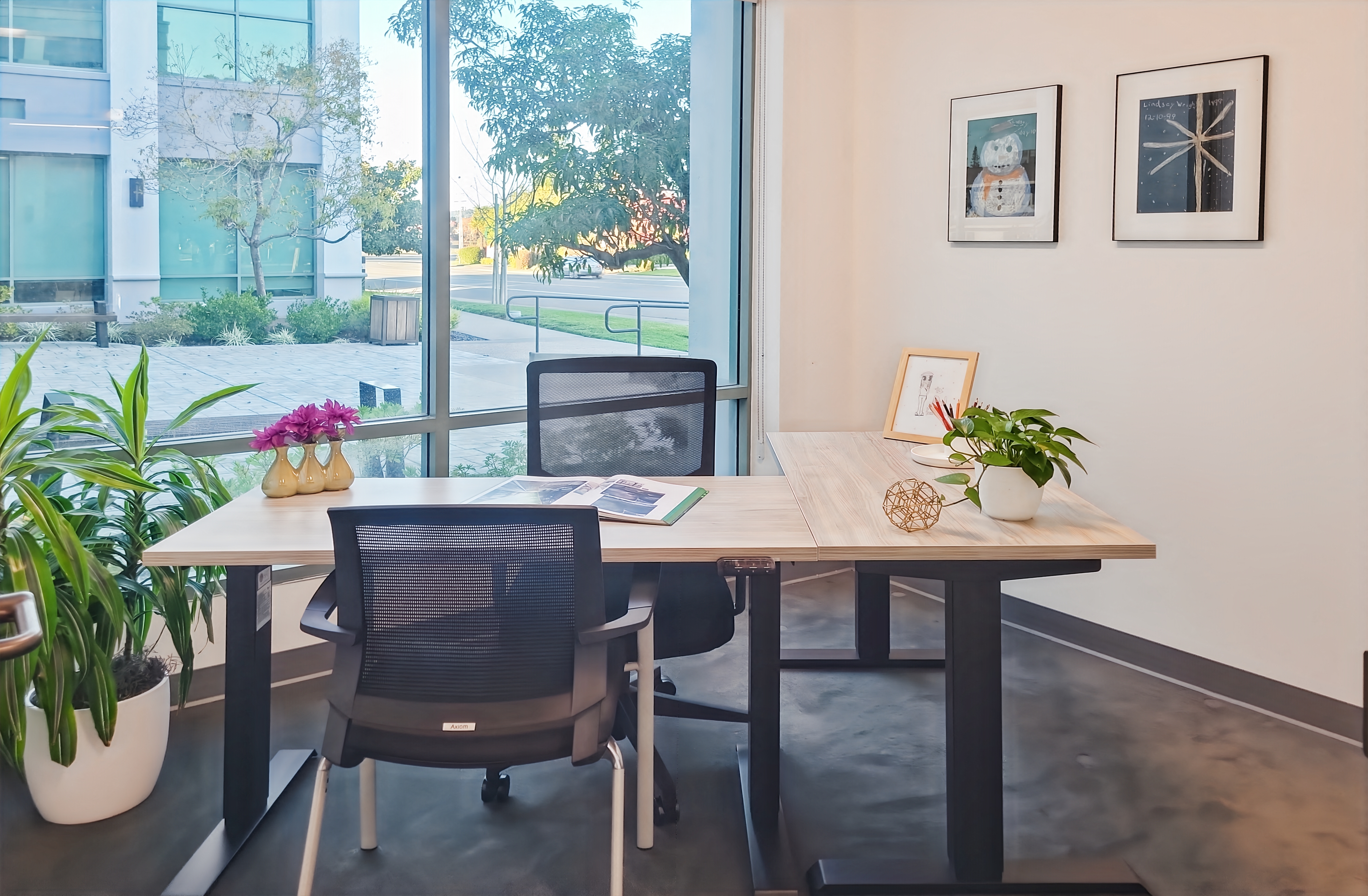 Private Office To Rent, San Francisco, 94949 – photo 3