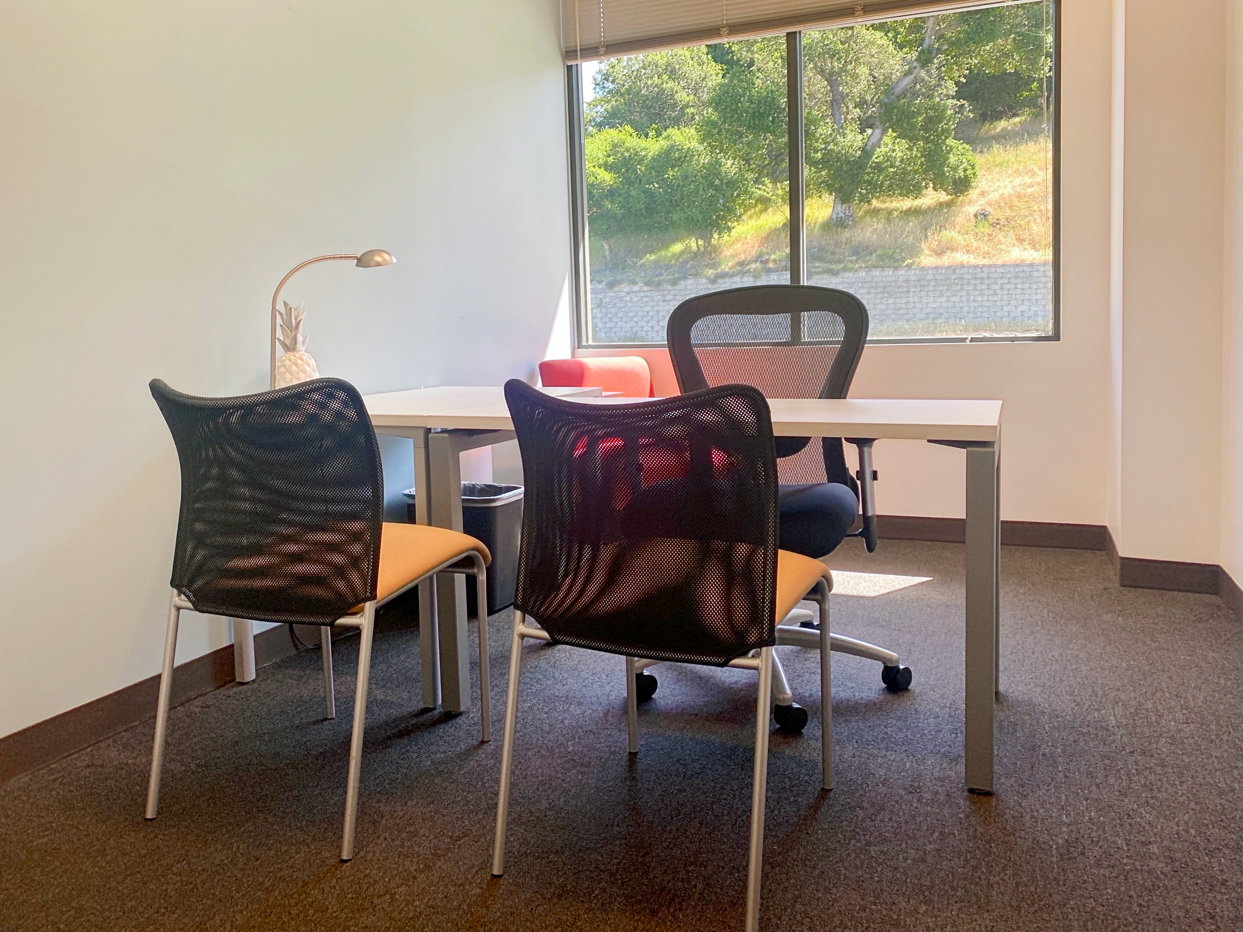 Private Office To Rent, San Francisco, 94945 – photo 2