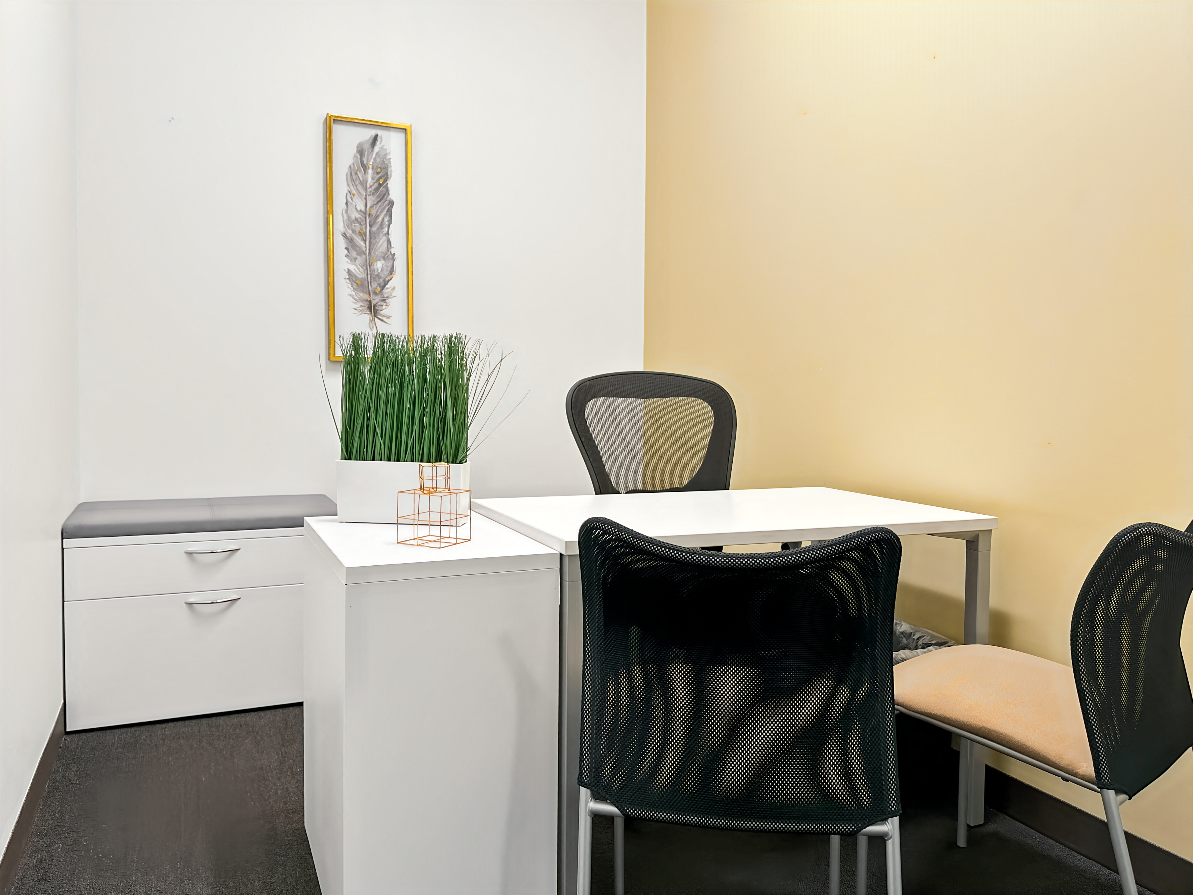 Private Office To Rent, San Francisco, 94945 – photo 5