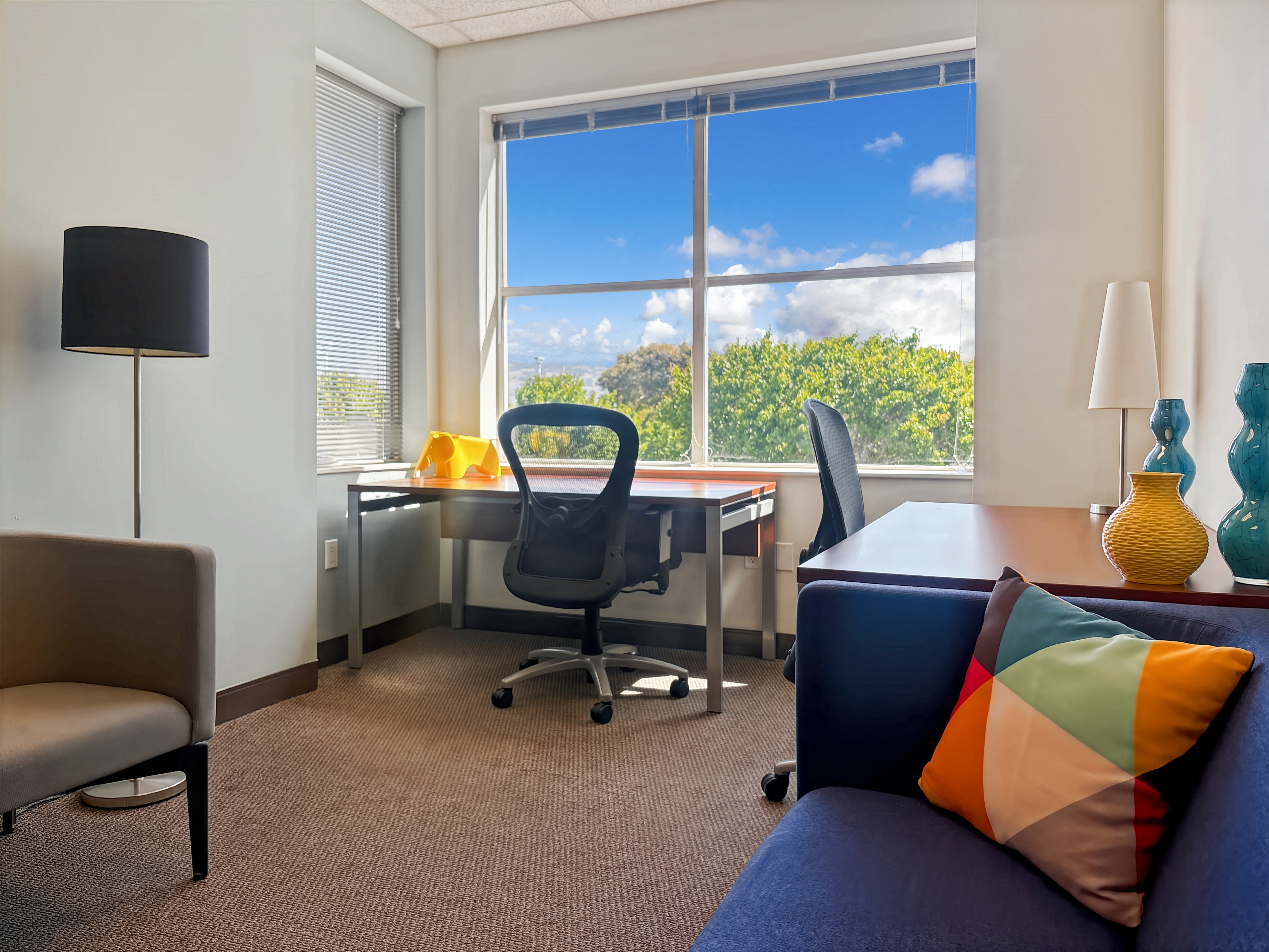 Private Office To Rent, San Francisco, 94954 – photo 4
