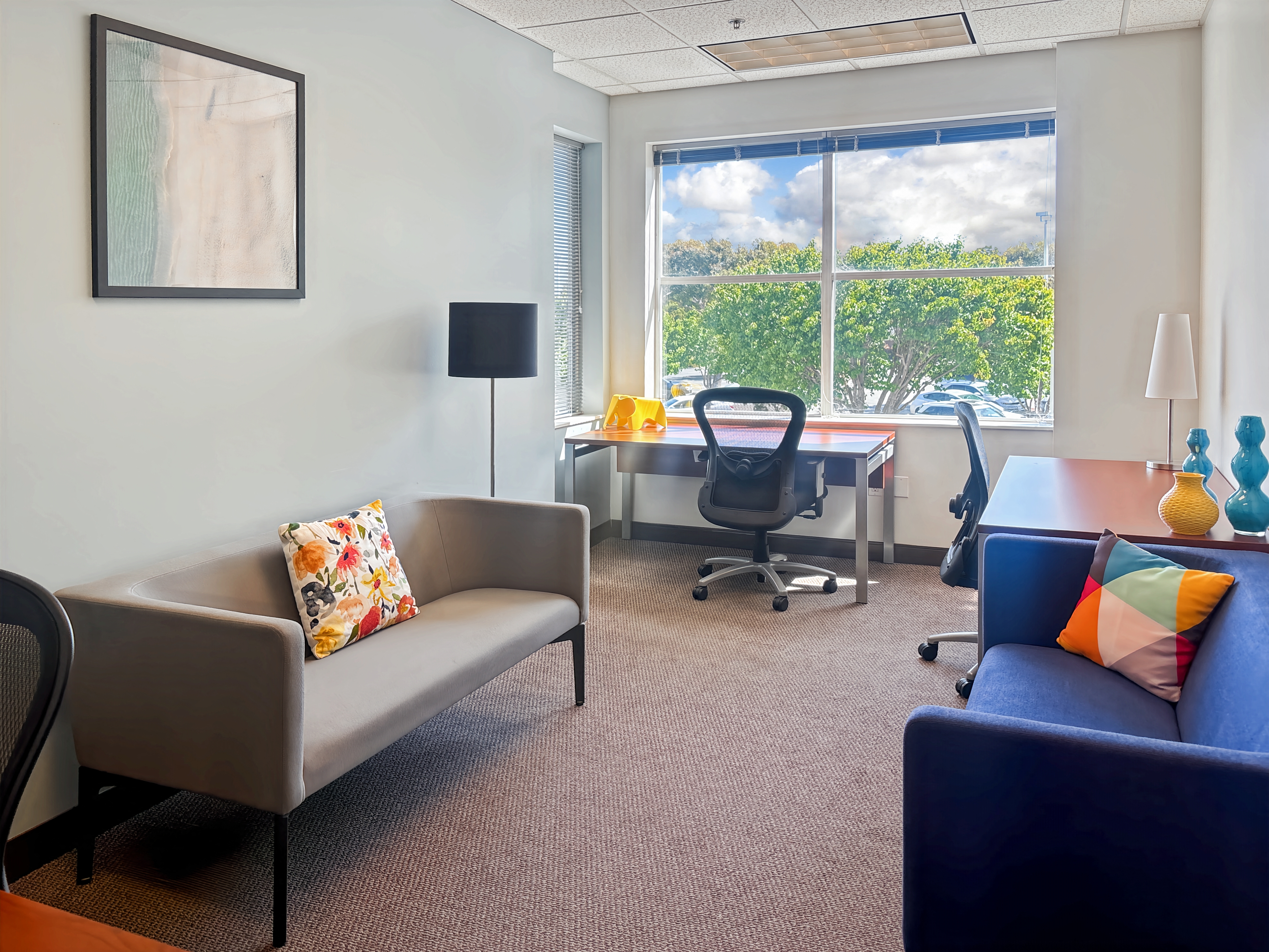 Private Office To Rent, San Francisco, 94954 – photo 5