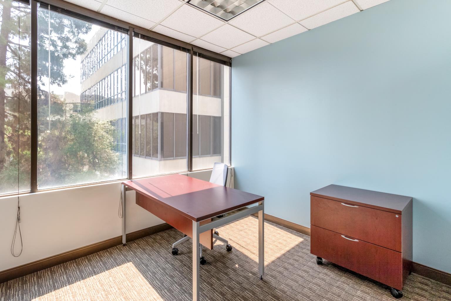 Private Office To Rent, Los Angeles, 90274 – photo 5