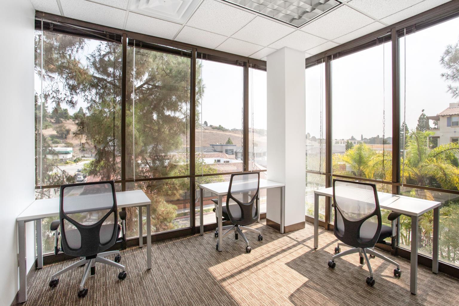 Private Office To Rent, Los Angeles, 90274 – photo 2