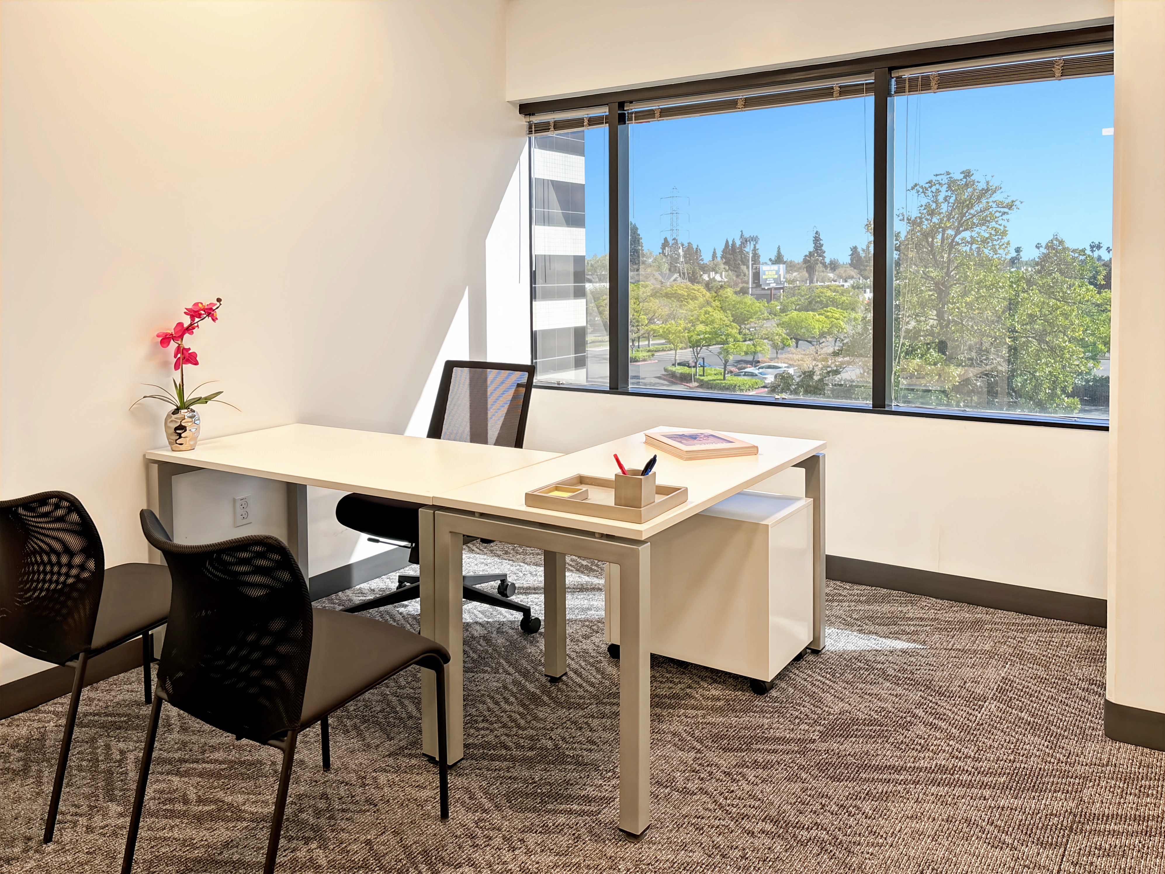 Private Office To Rent, Sacramento, 95825 – photo 4