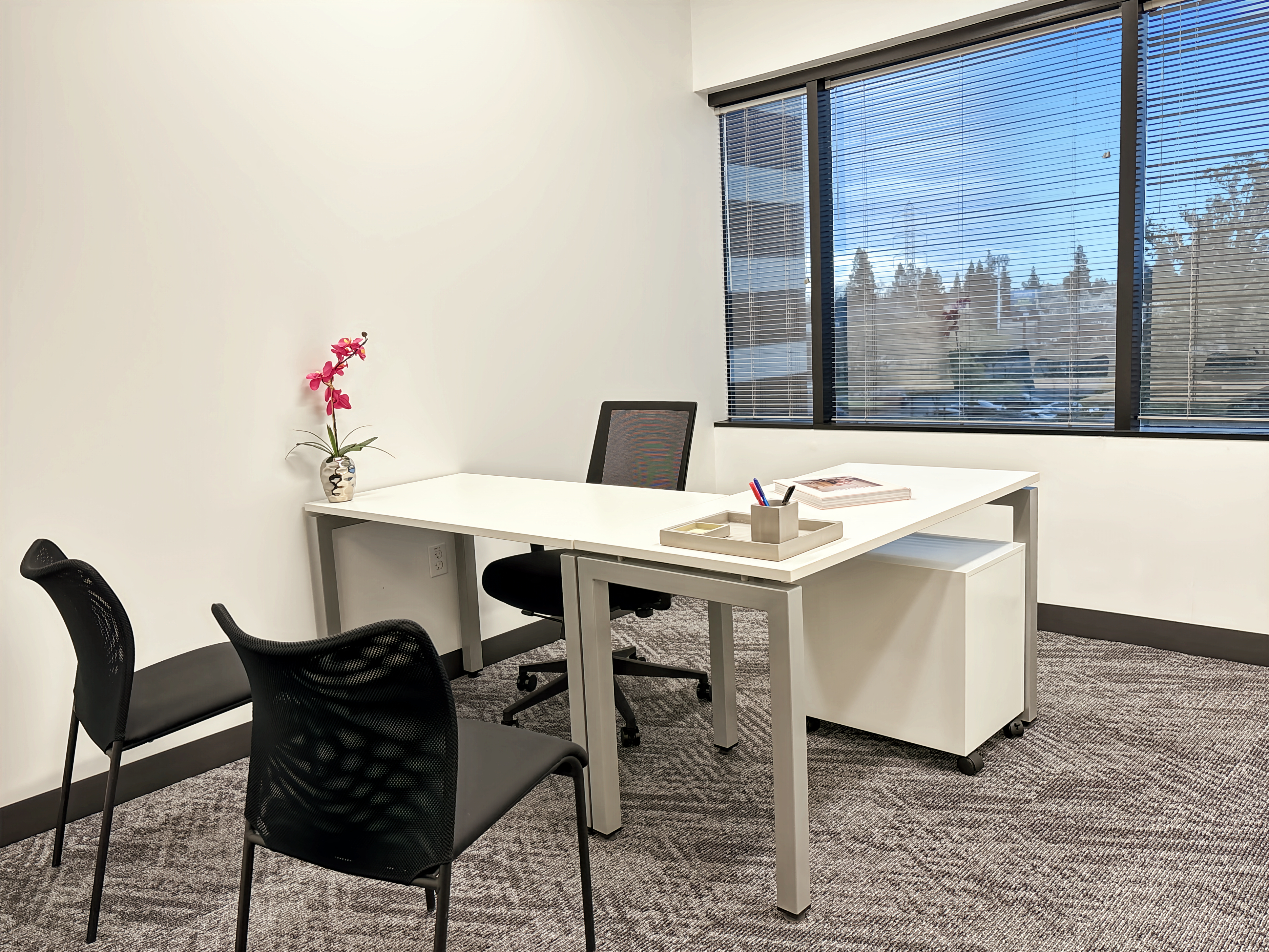 Private Office To Rent, Sacramento, 95825 – photo 1