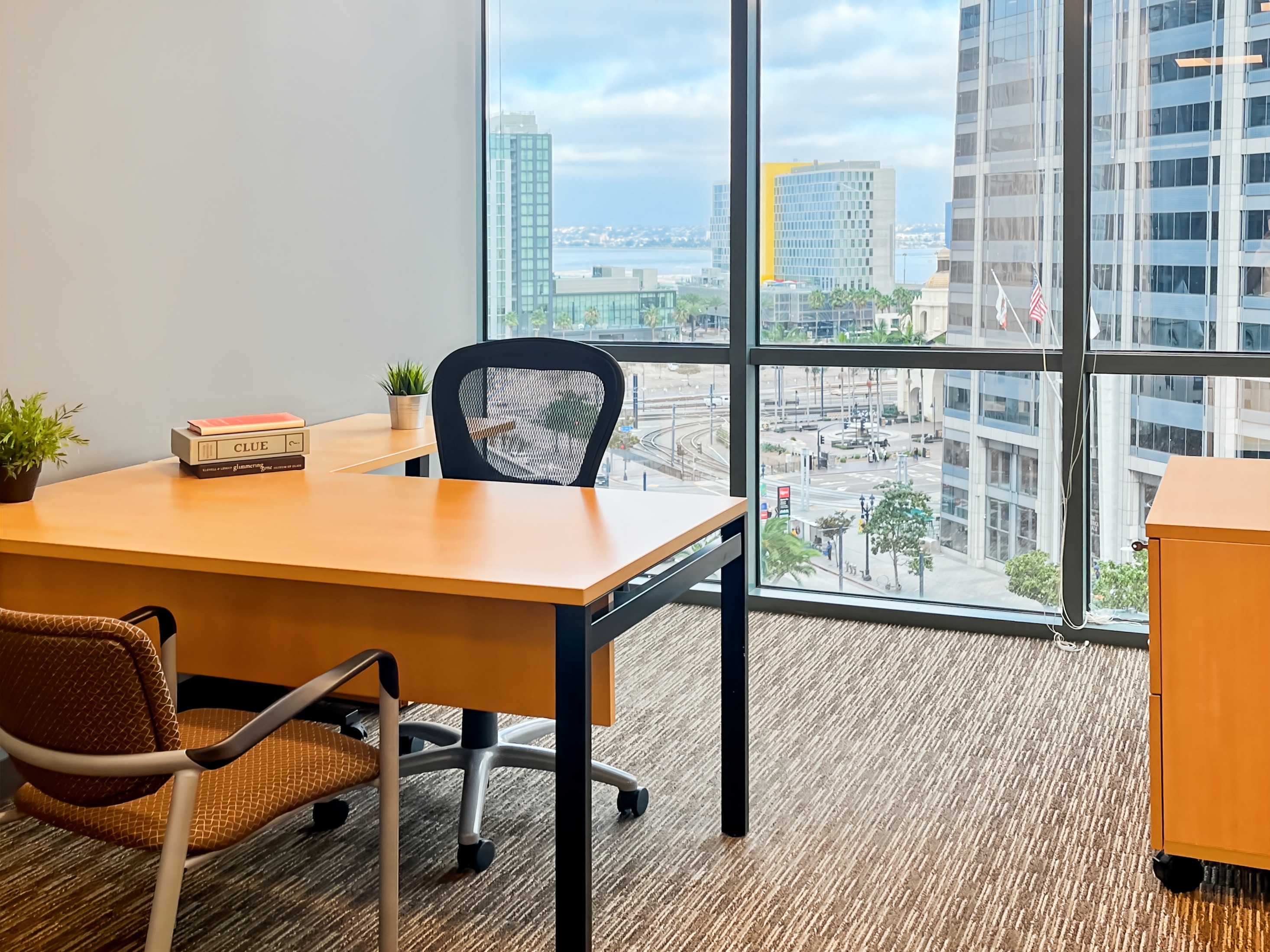Private Office To Rent, San Diego, 92101 – photo 4