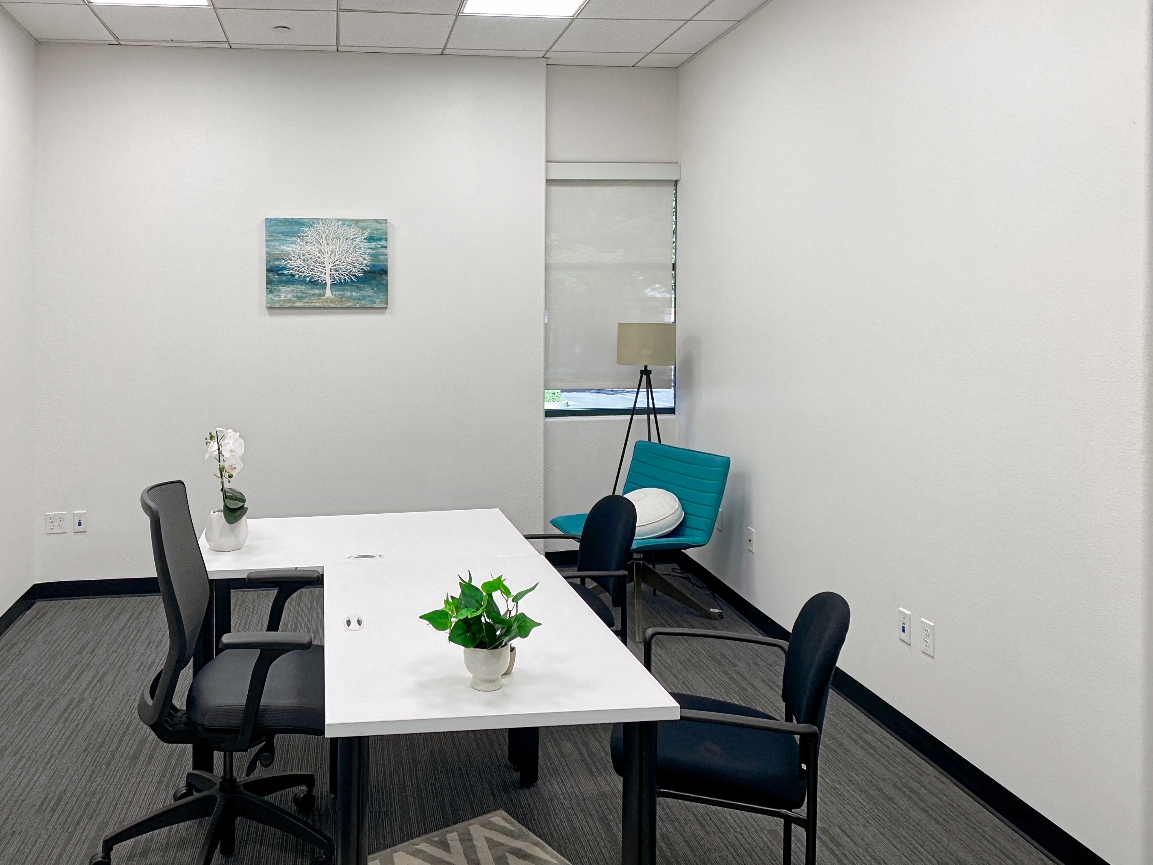 Private Office To Rent, San Francisco, 94583 – photo 5