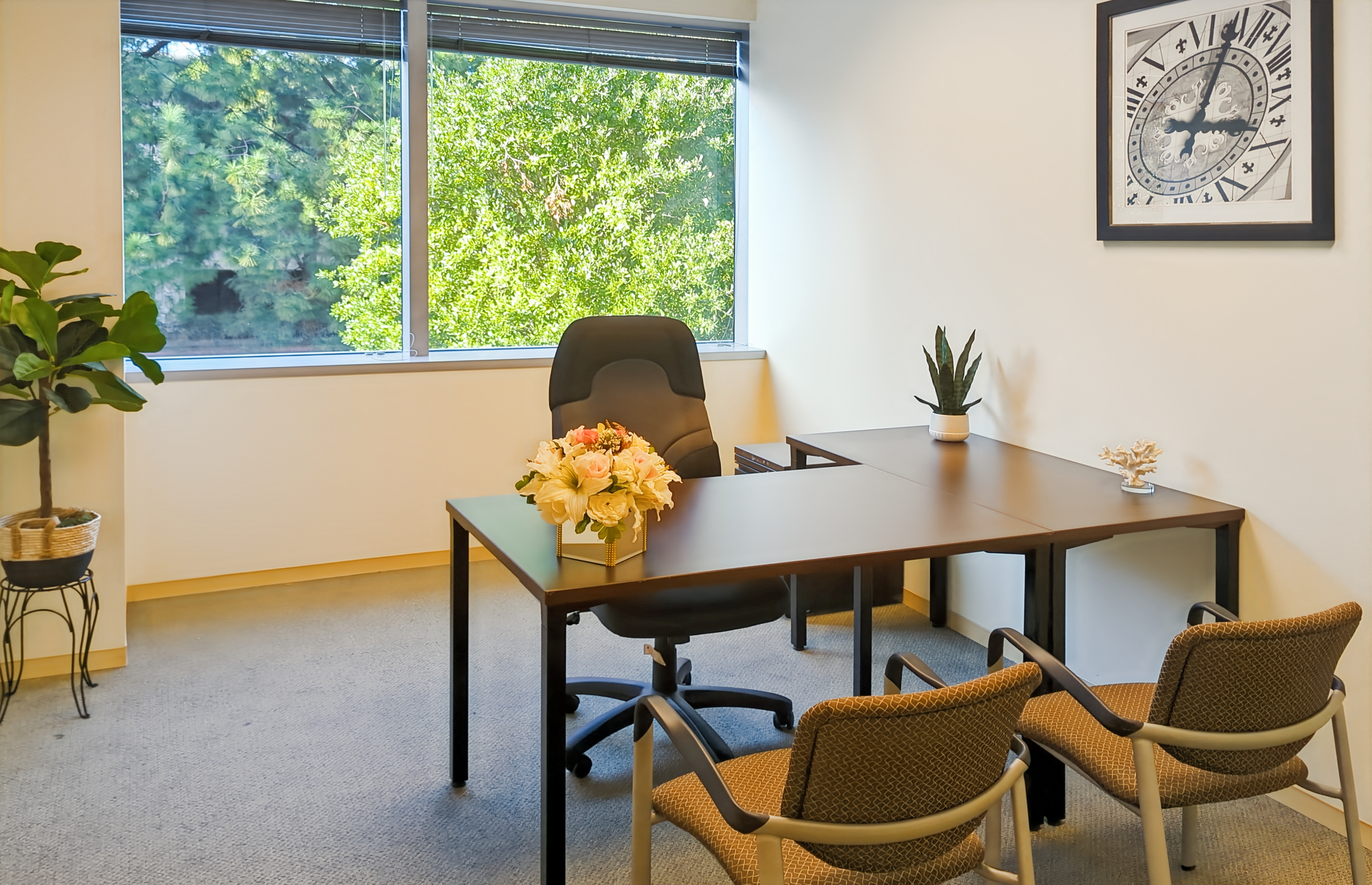 Private Office To Rent, San Francisco, 94583 – photo 2