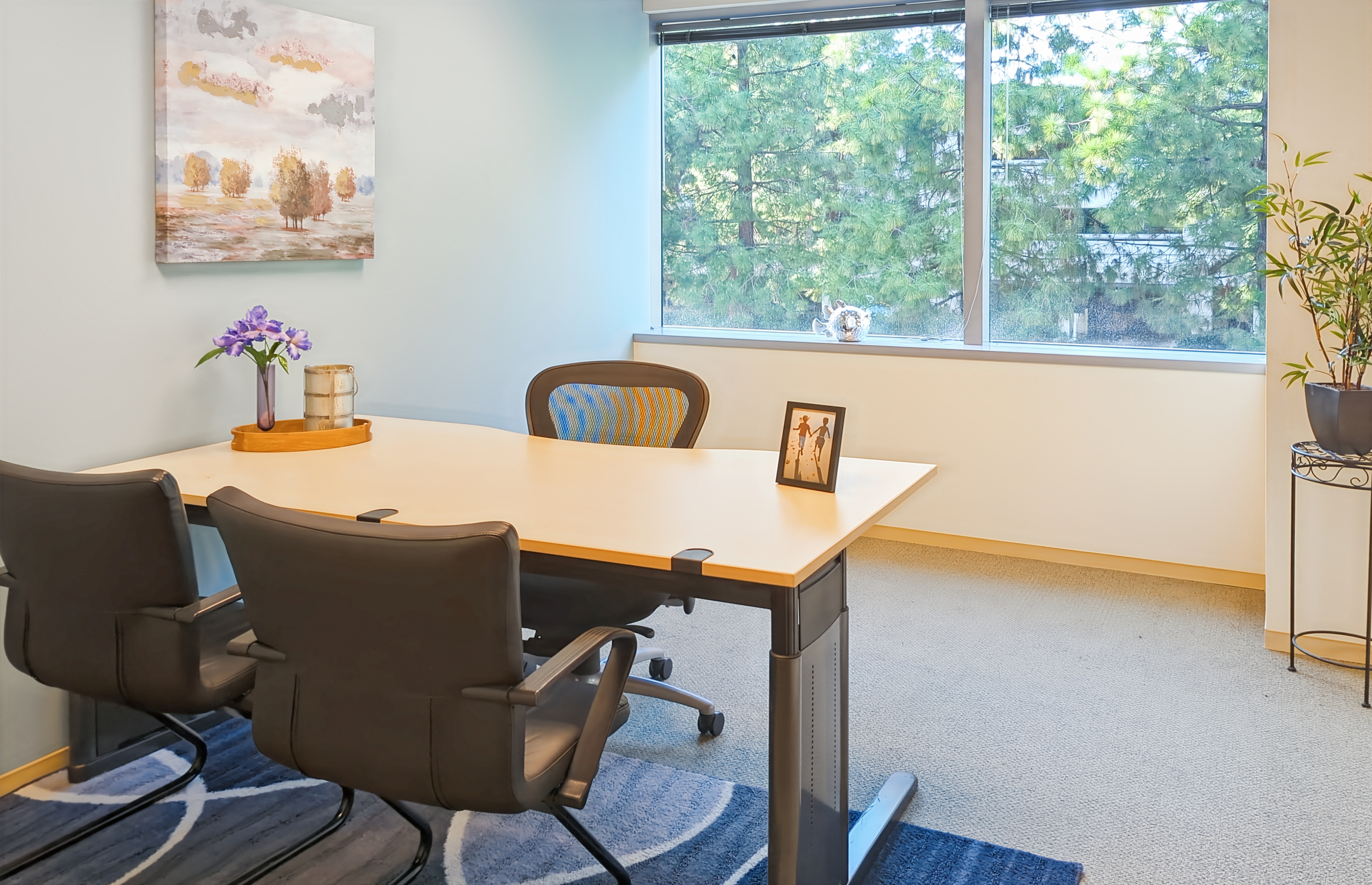 Private Office To Rent, San Francisco, 94583 – photo 6