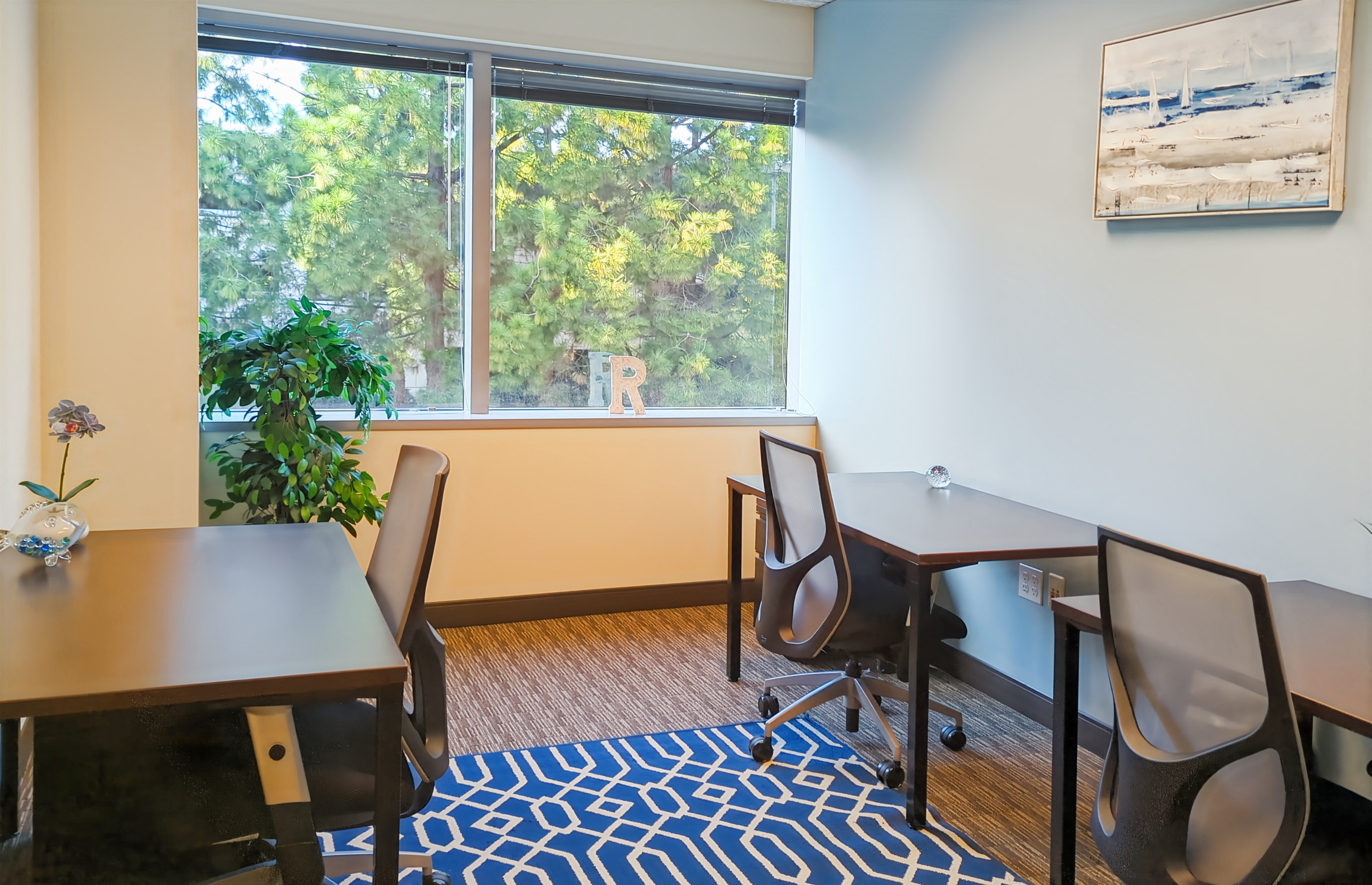 Private Office To Rent, San Francisco, 94583 – photo 4