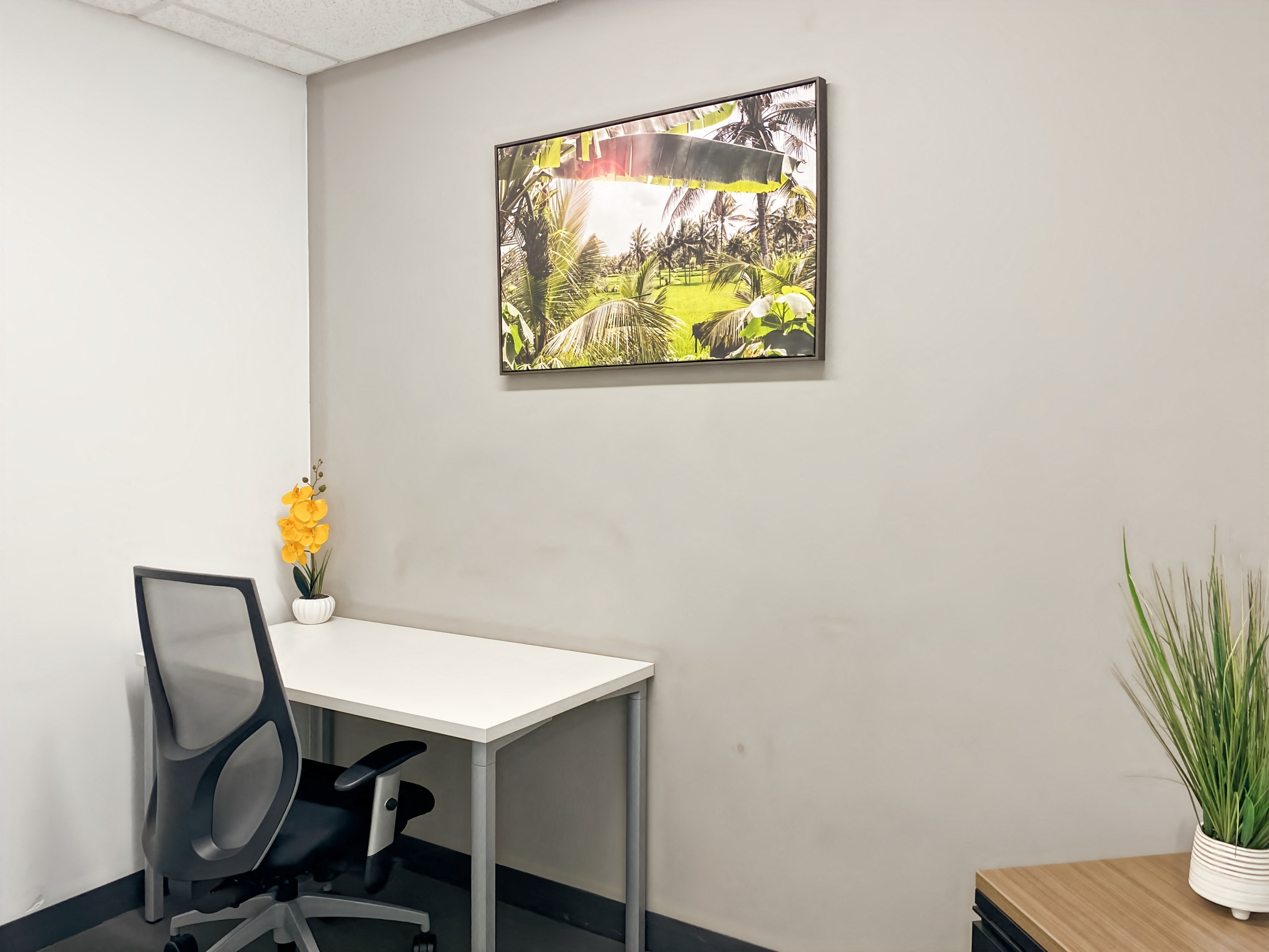 Private Office To Rent, Santa Barbara, 93101 – photo 3