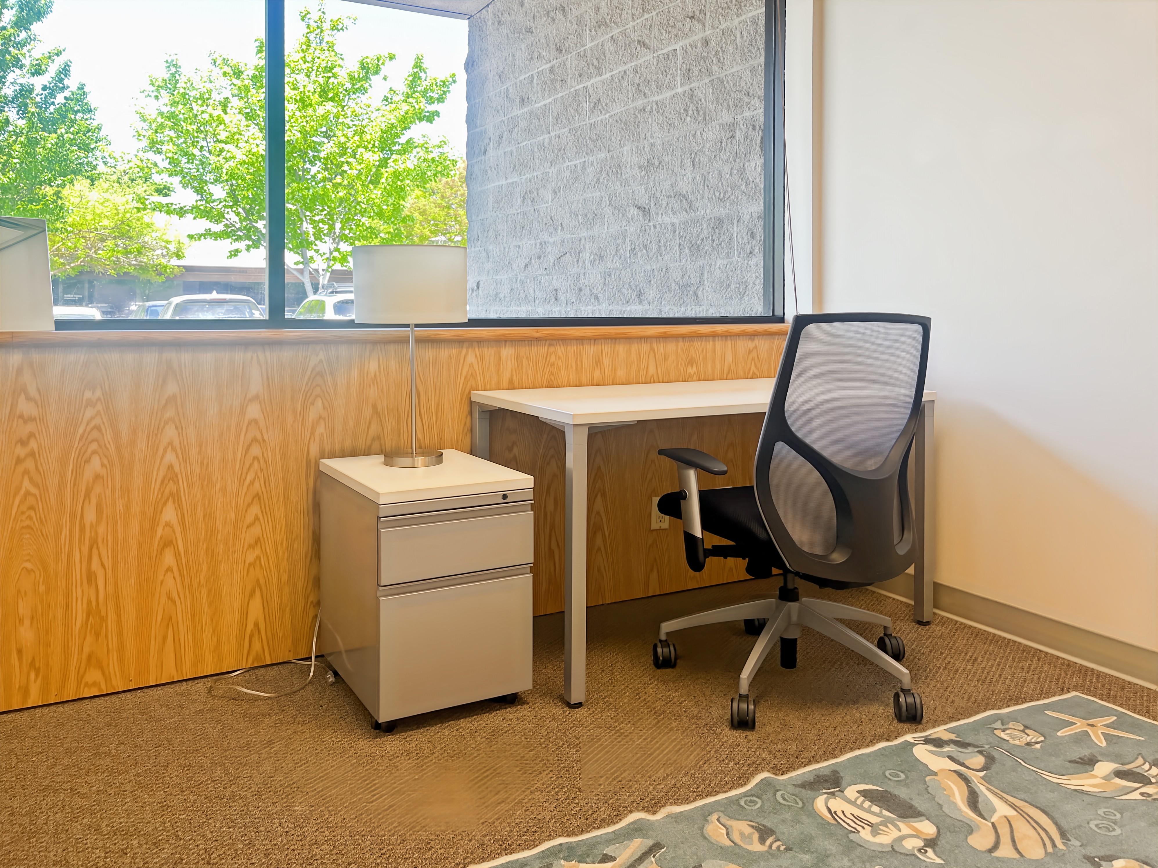 Private Office To Rent, San Francisco, 95401 – photo 4