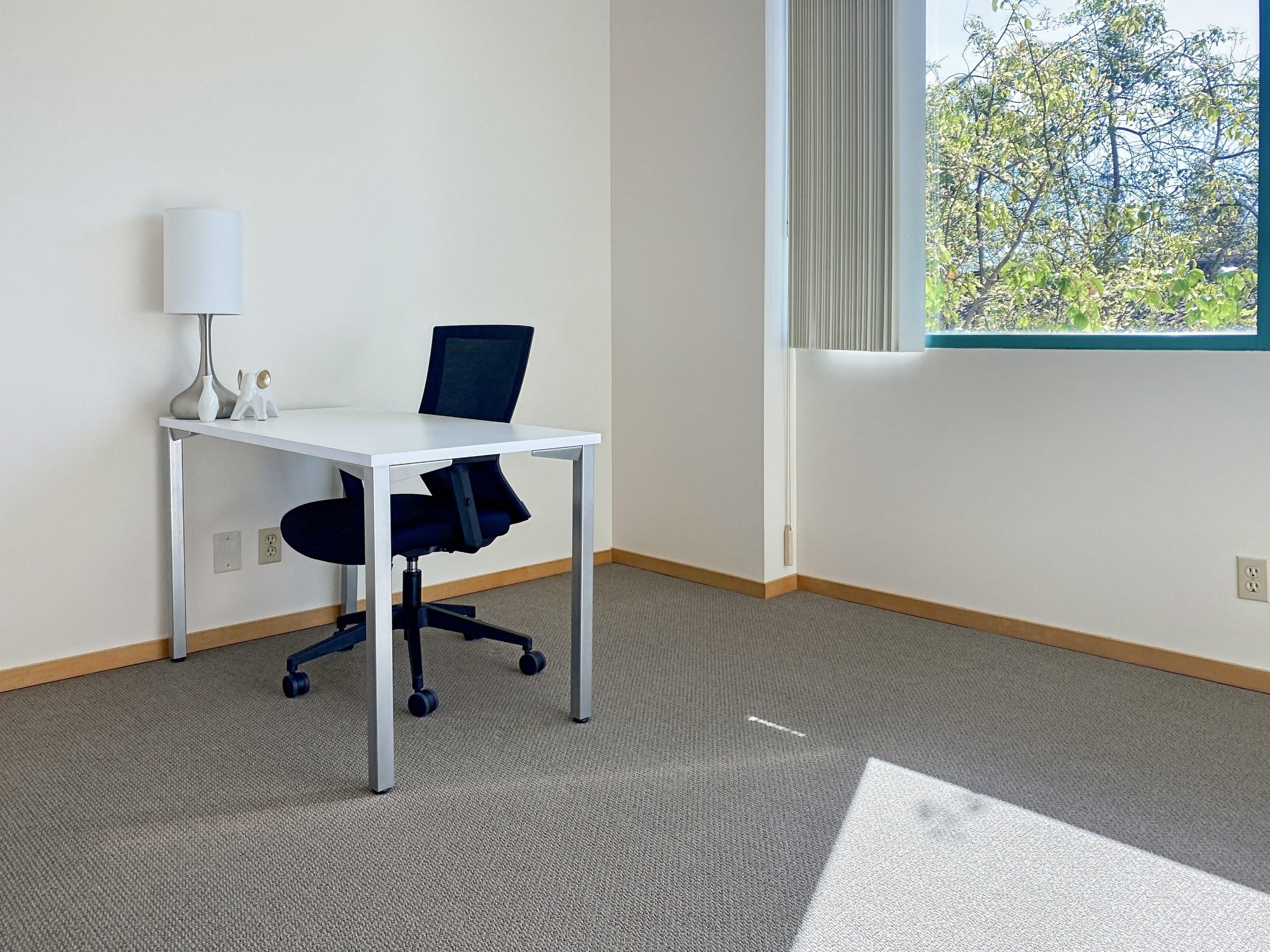 Private Office To Rent, San Francisco, 95403 – photo 6