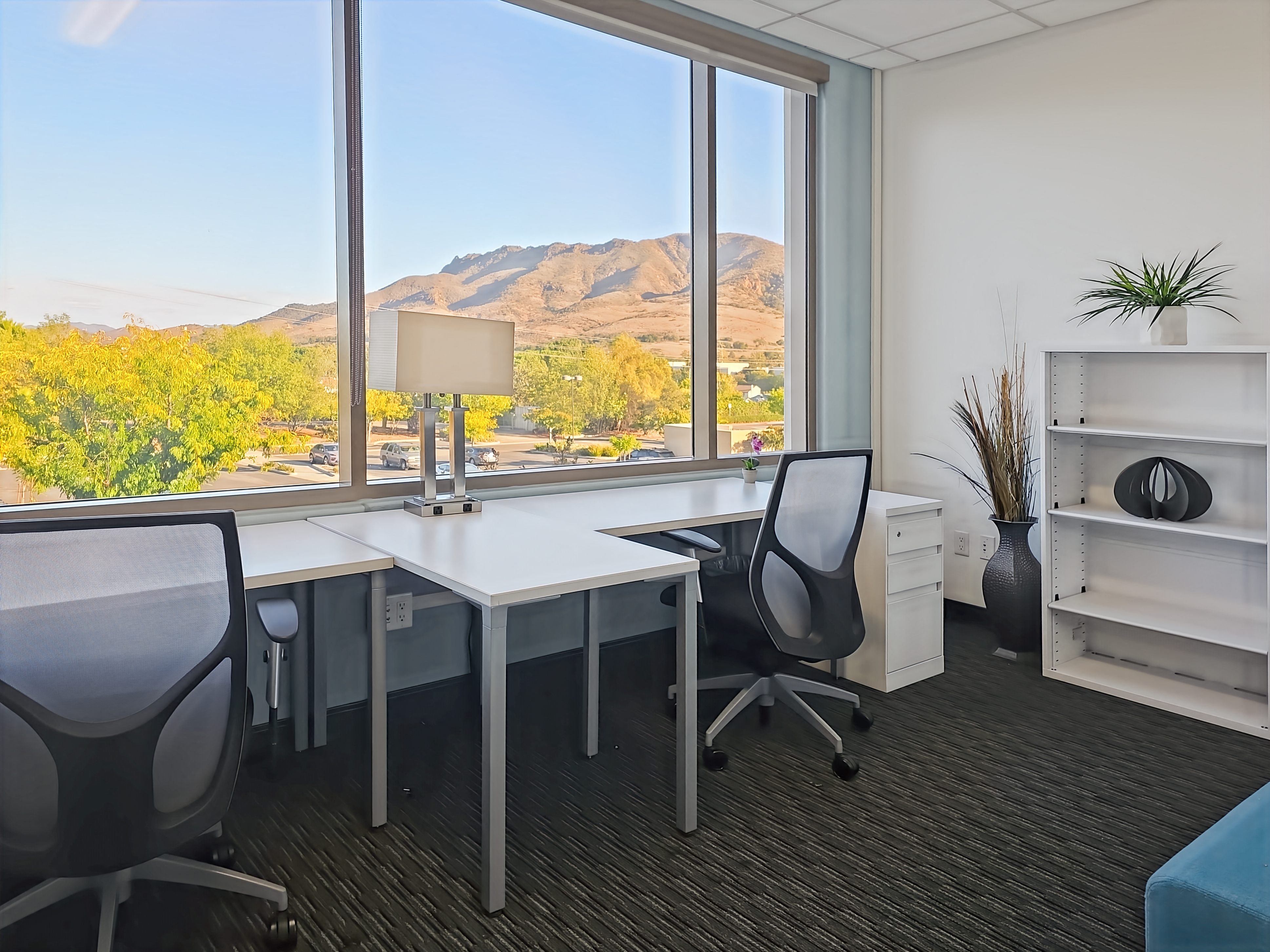 Private Office To Rent, Los Angeles, 91362 – photo 1