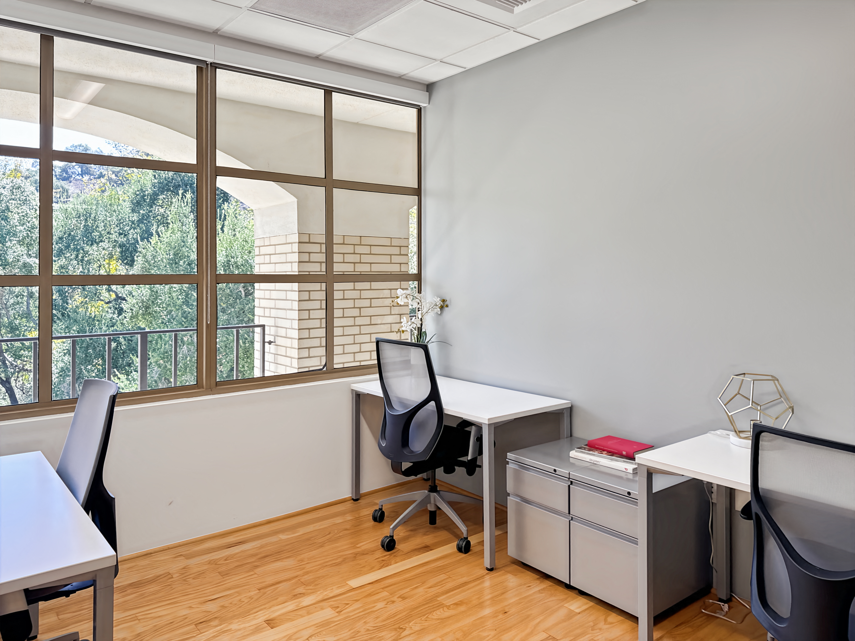 Private Office To Rent, Los Angeles, 91302 – photo 5
